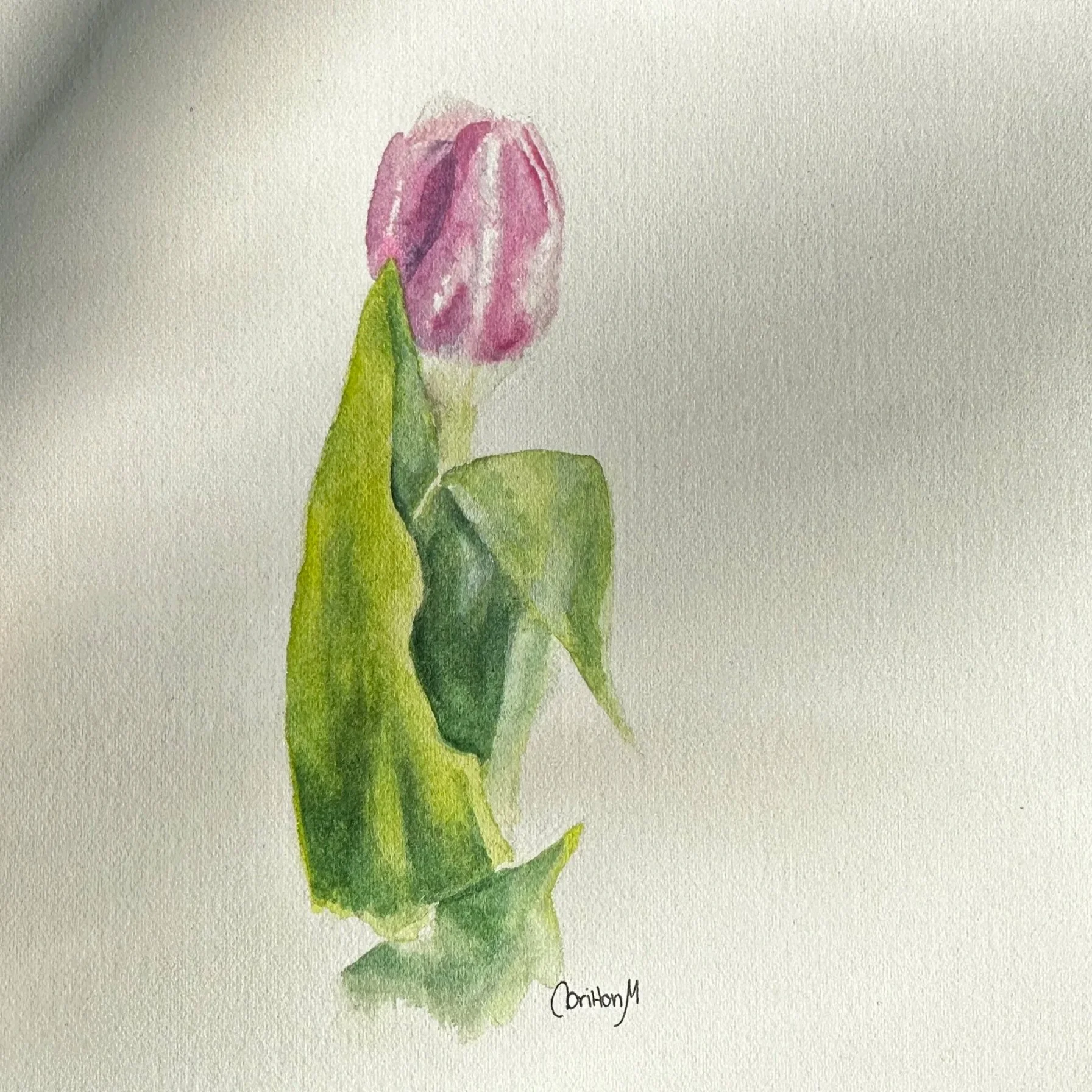 Watercolor Workshop