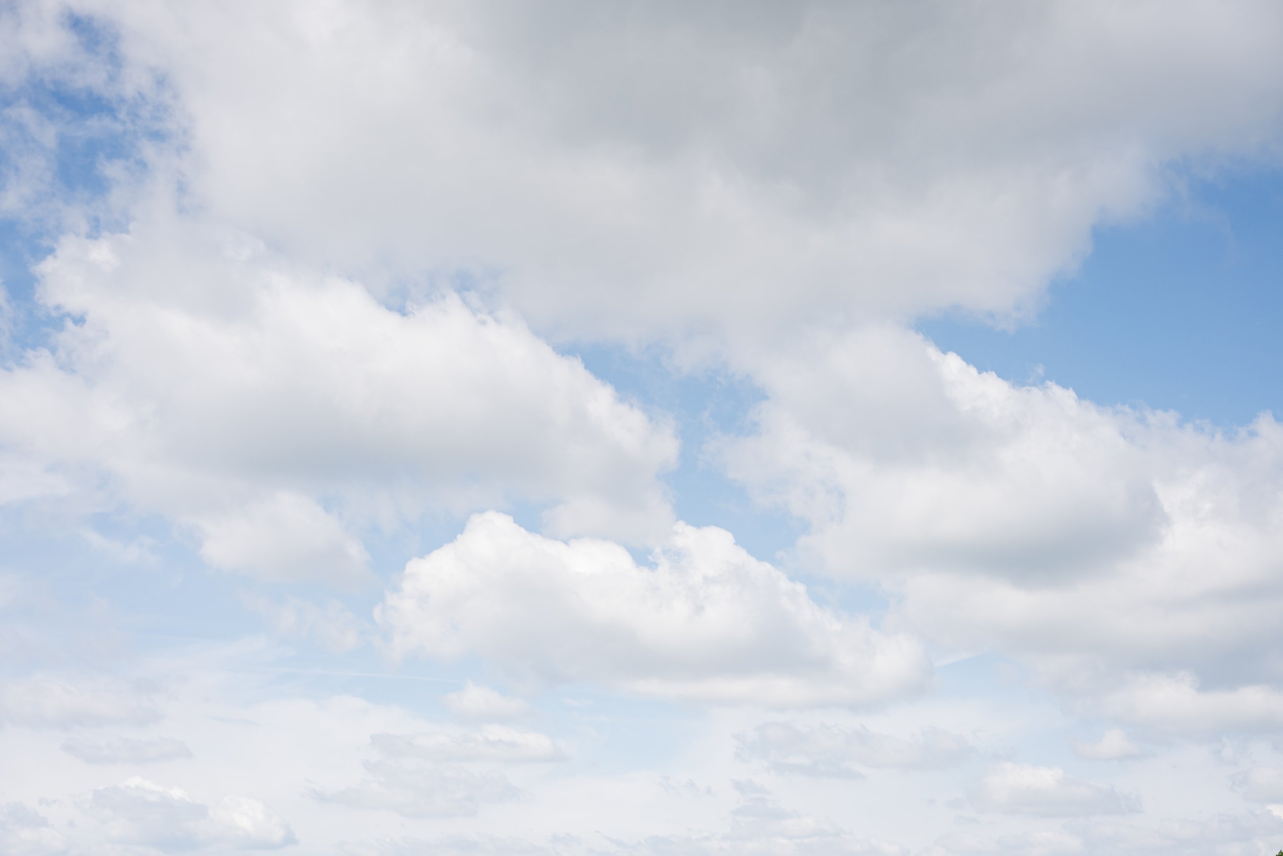 North Glow Photography -2897.jpg