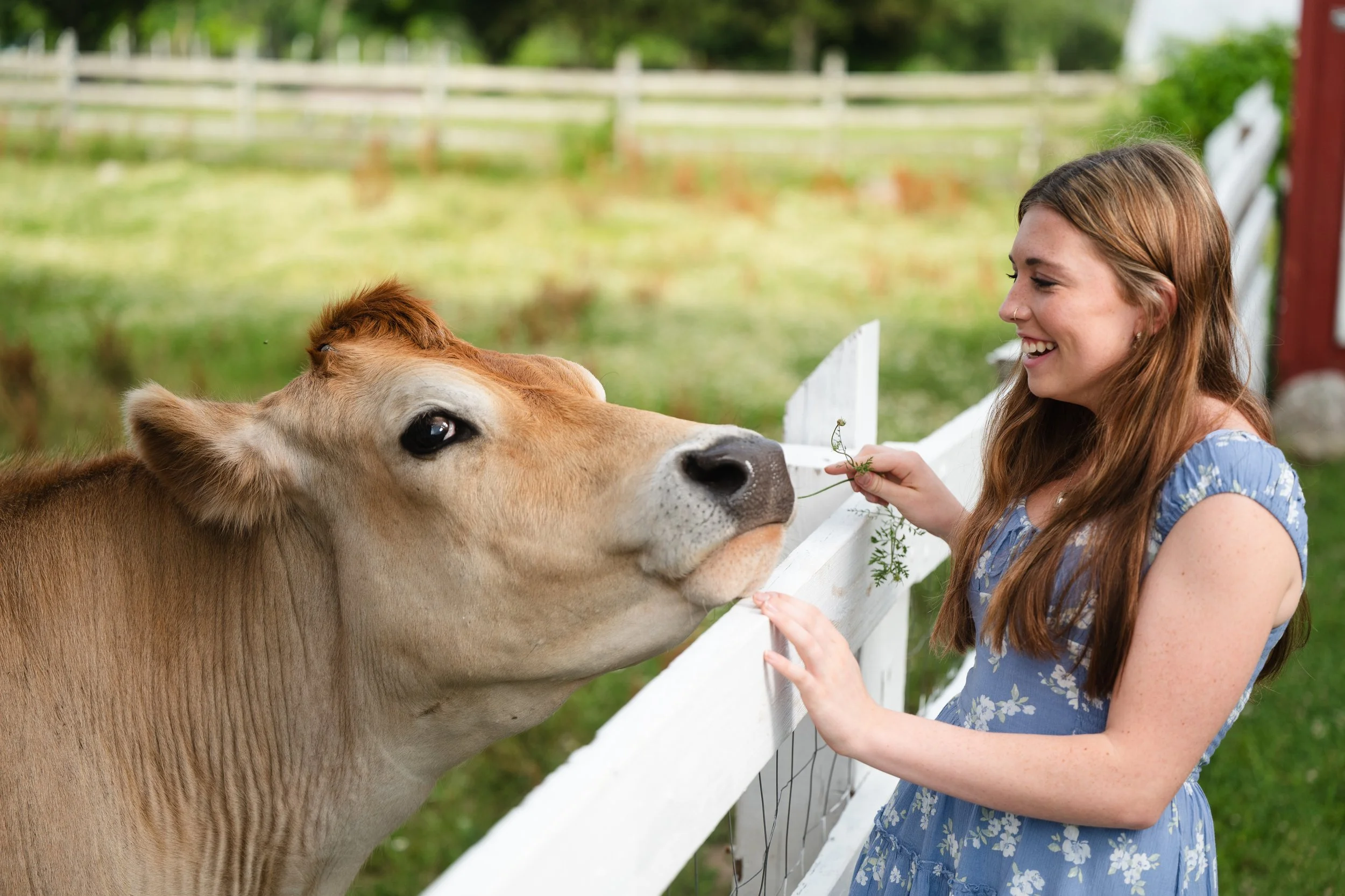 North Glow senior-84.jpg