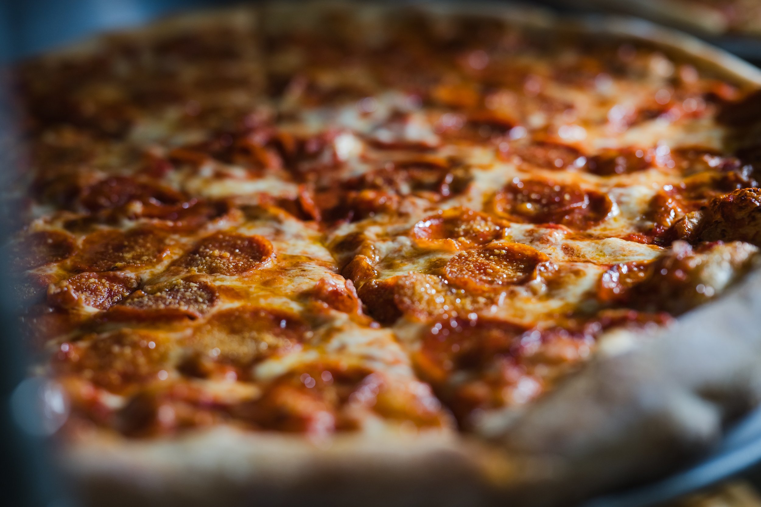 north glow photography -9555.jpg