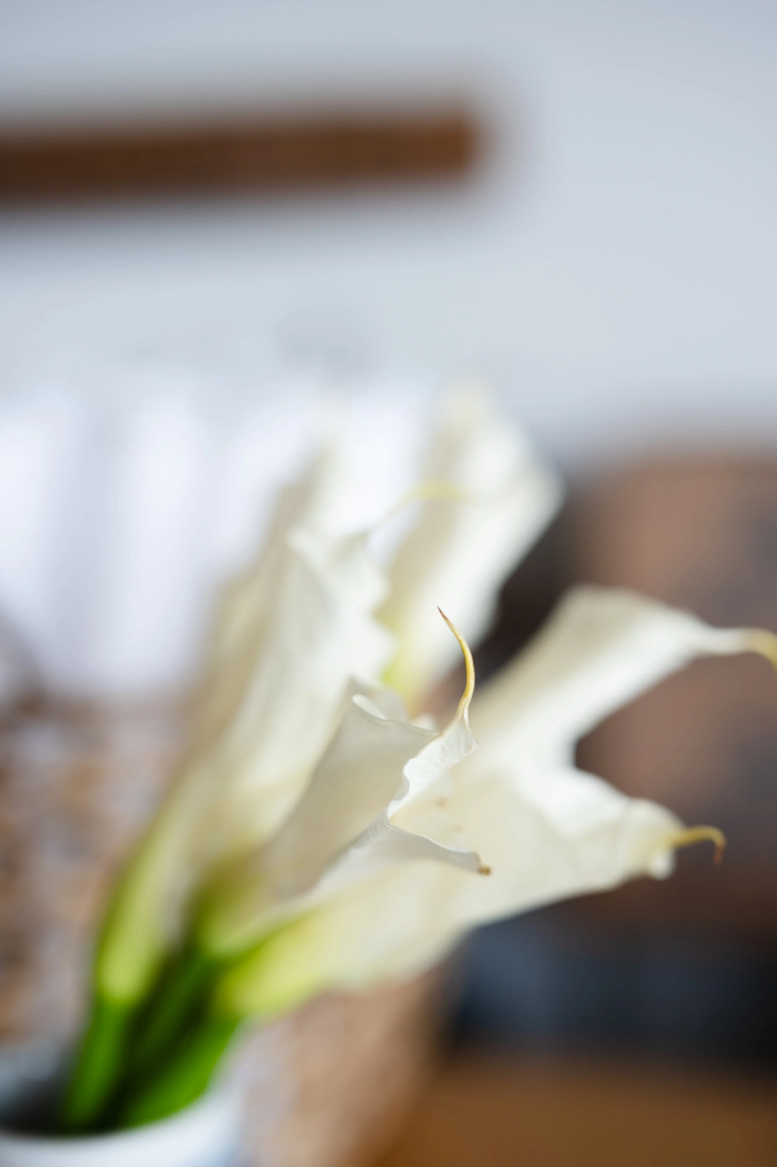 North Glow wedding-3.jpg