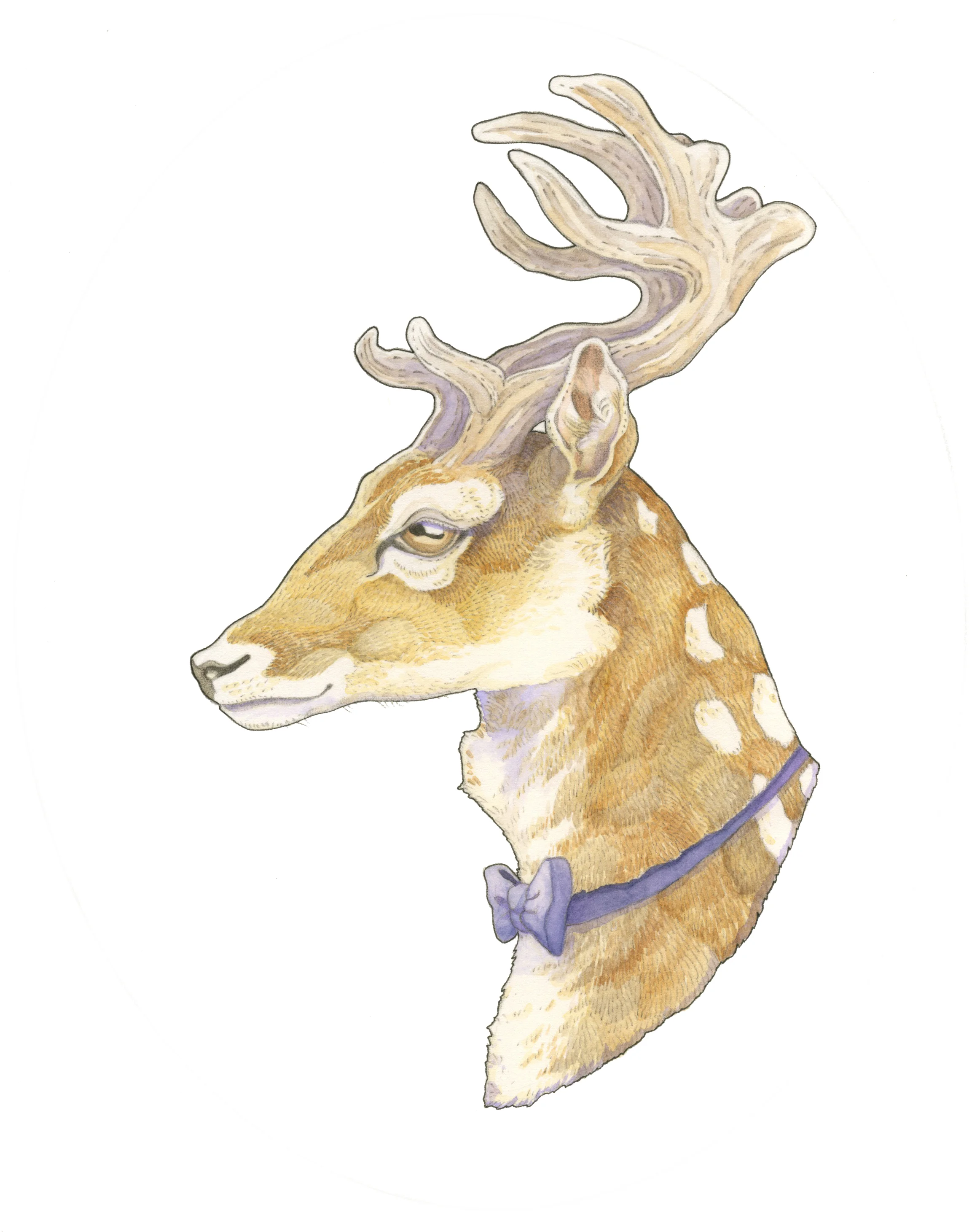 MrDeerPrint.jpeg