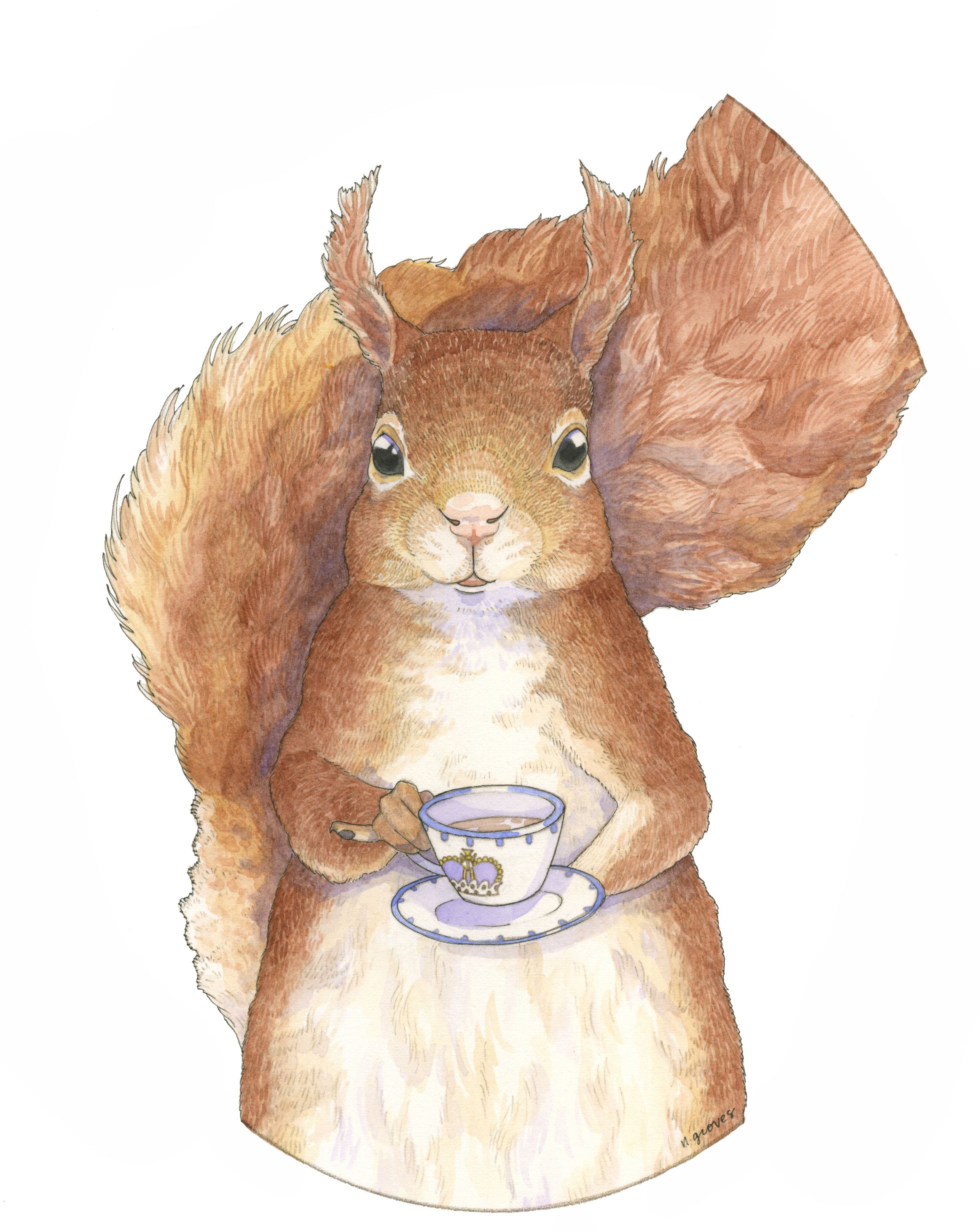 ProperSquirrel300dpi.jpeg