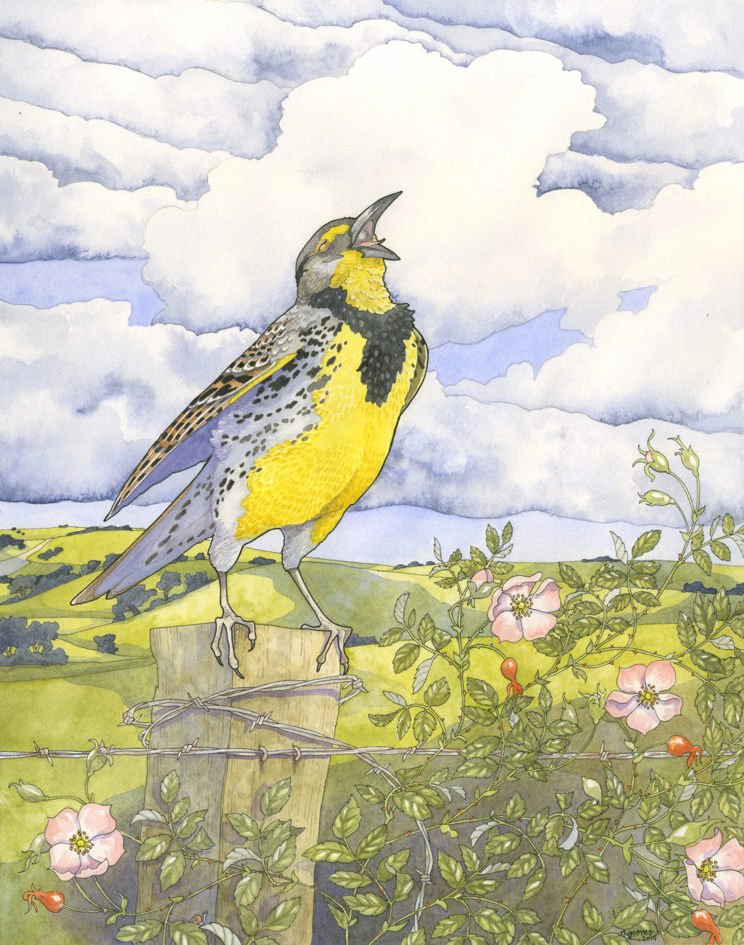 MeadowLarkCommission.jpg