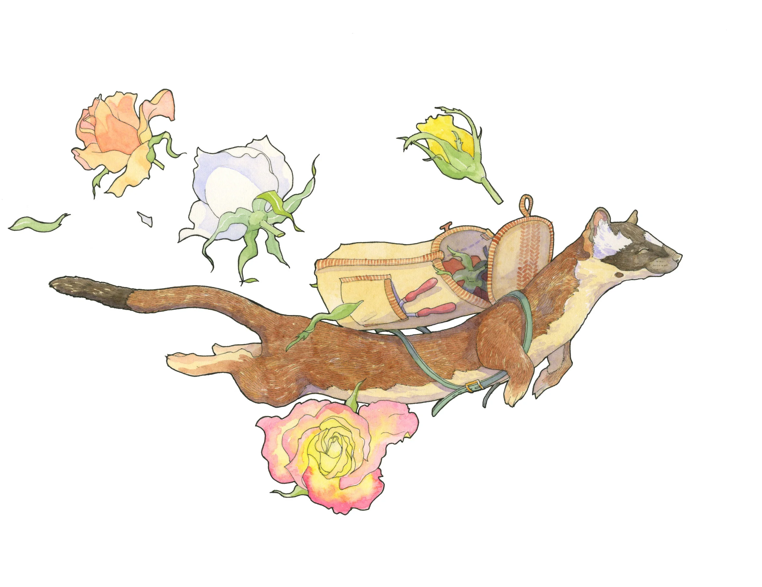 Rosethief300.jpeg