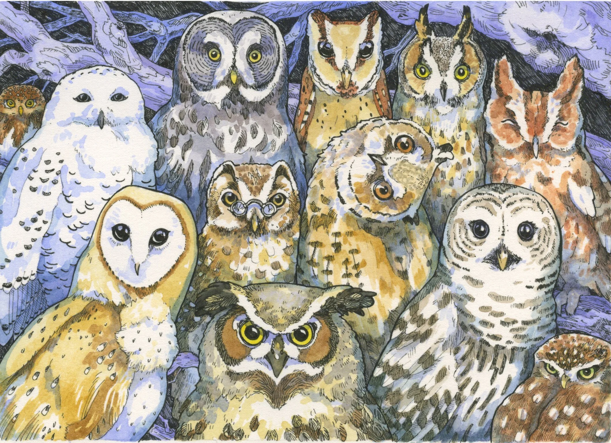 Owls300.jpeg