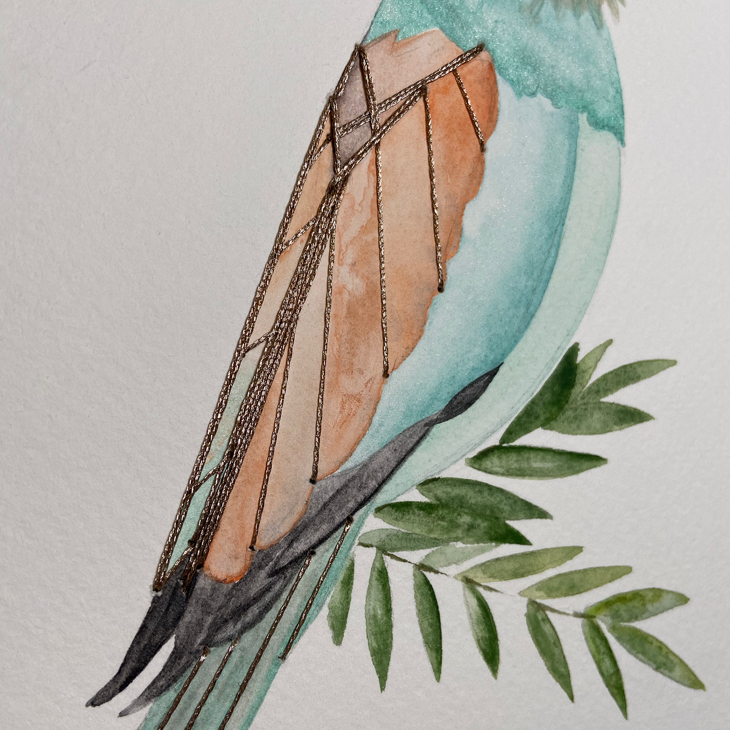 European Roller Closeup.png