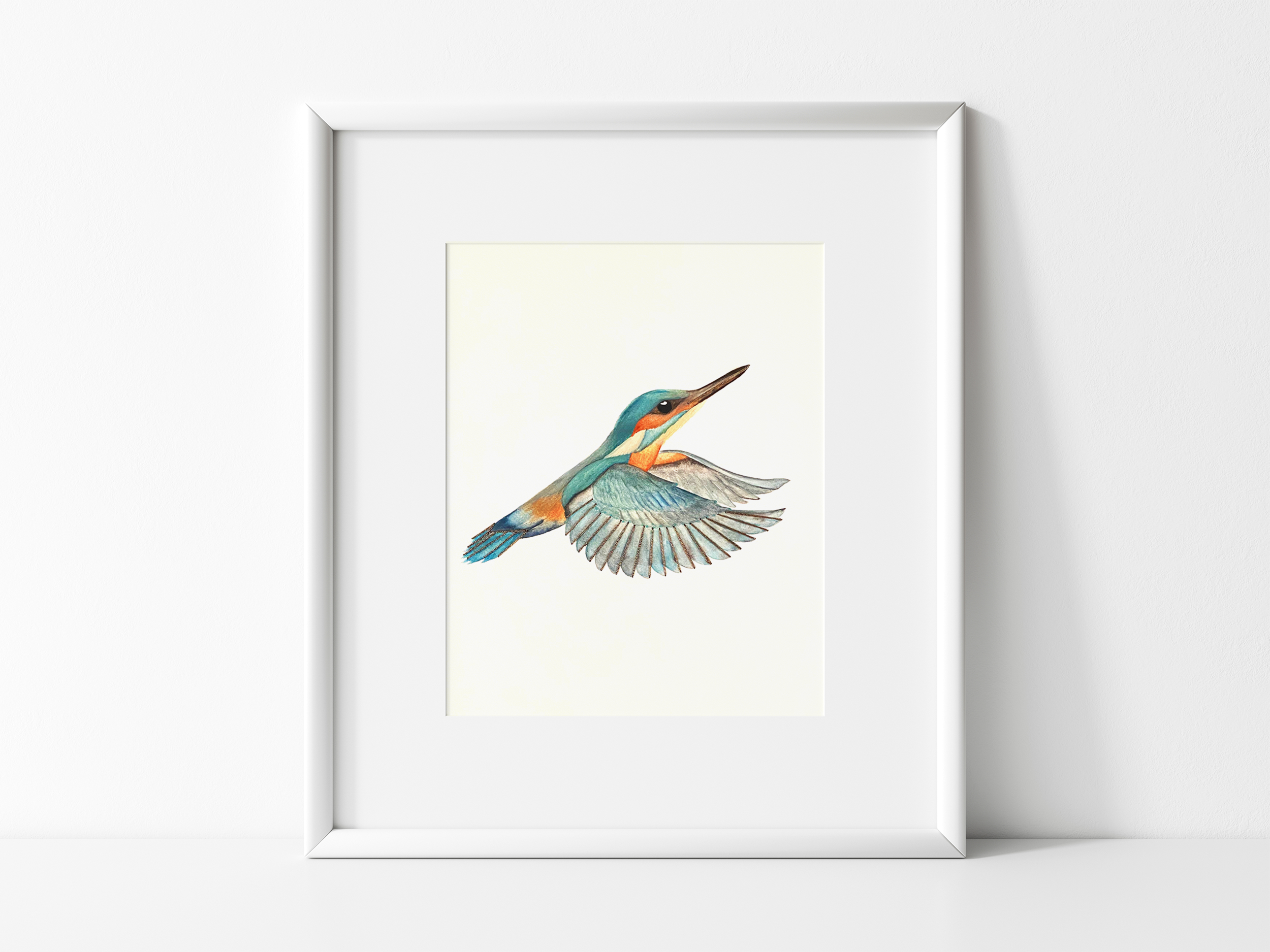 Kingfisher.png