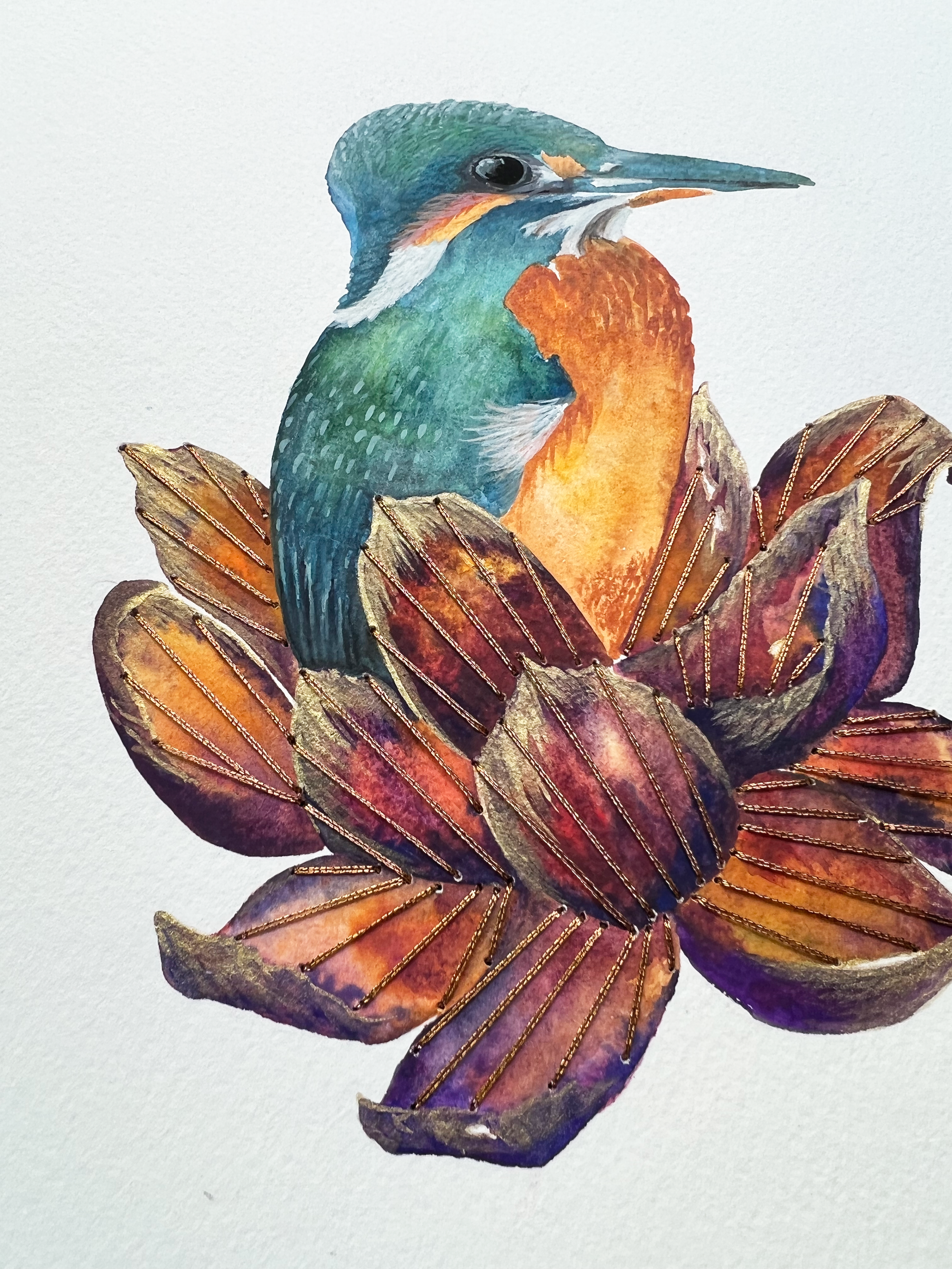 Kingfisher3.png