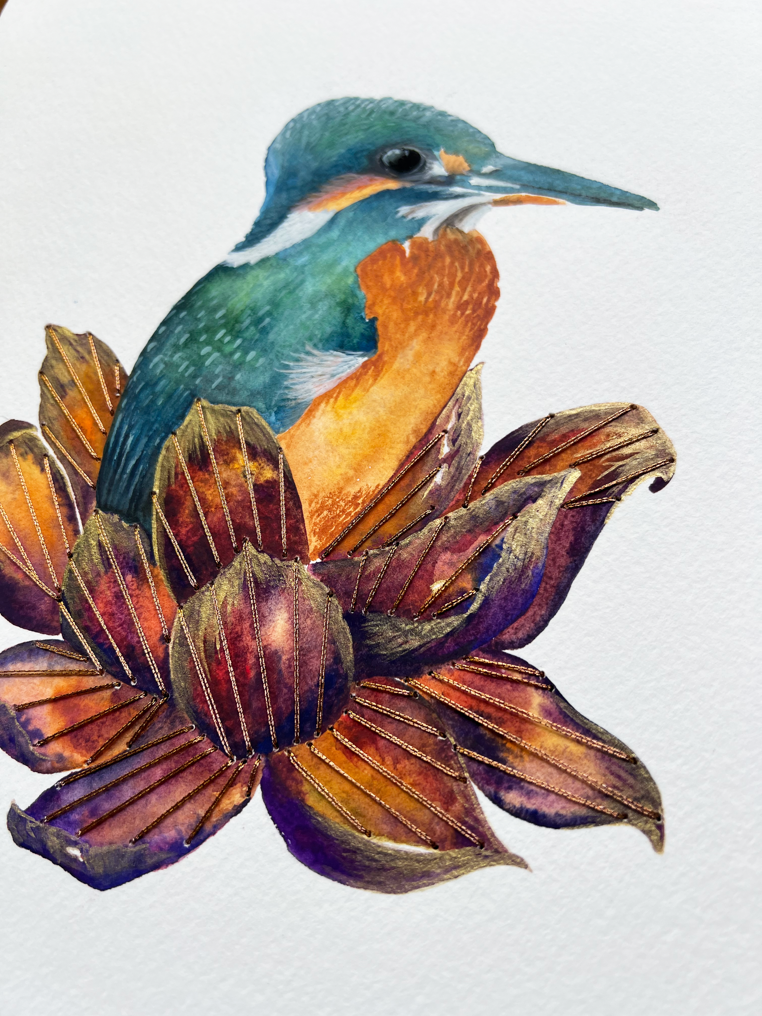 Kingfisher1.png