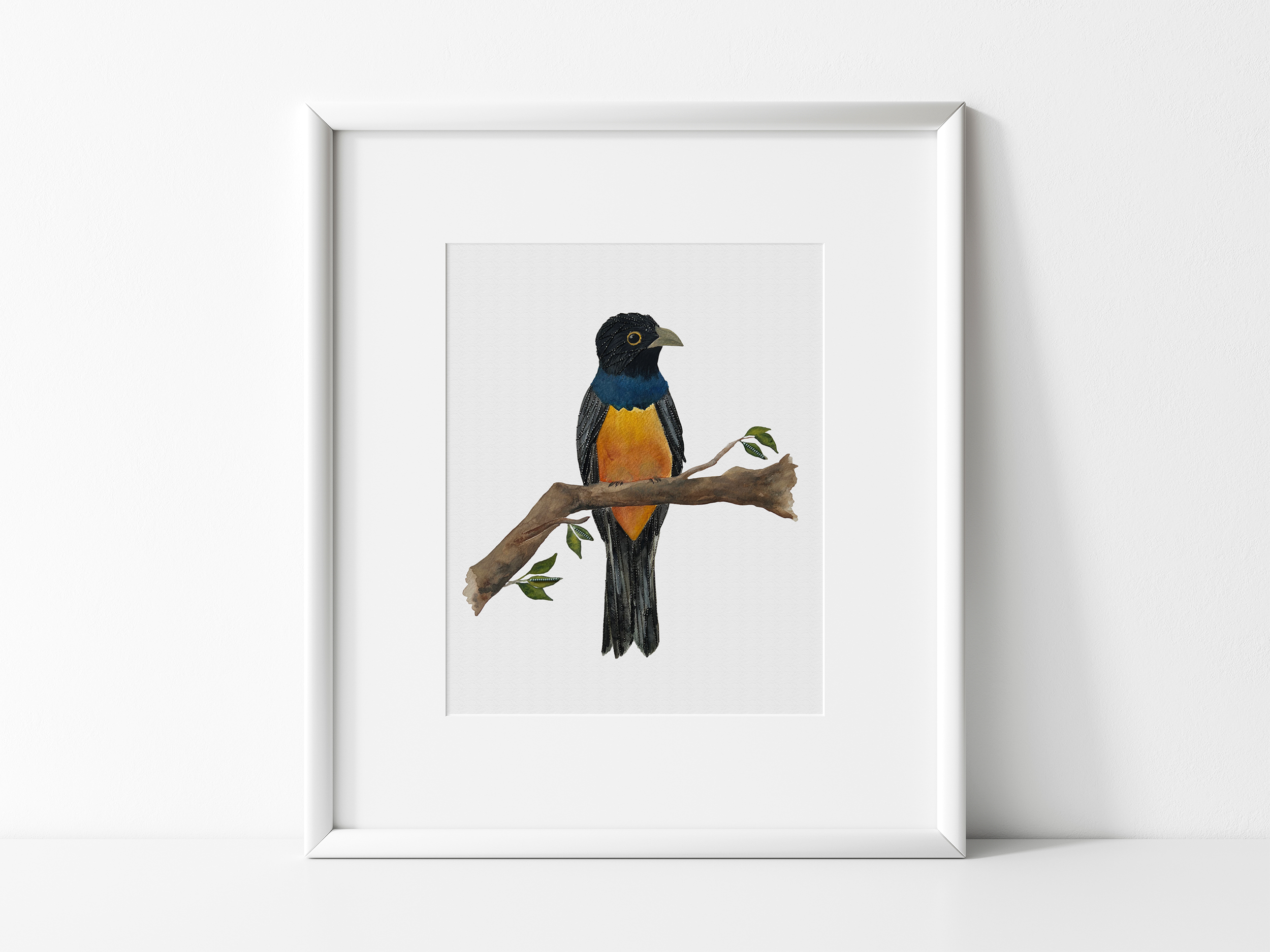 Trogon.png