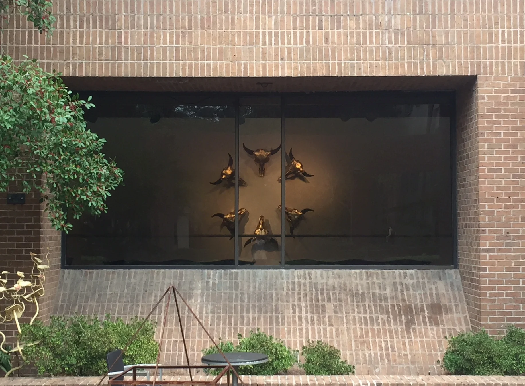 Image uploaded from iOS.jpg