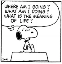 The 24 Year Life Crisis Thoughts On A Whim