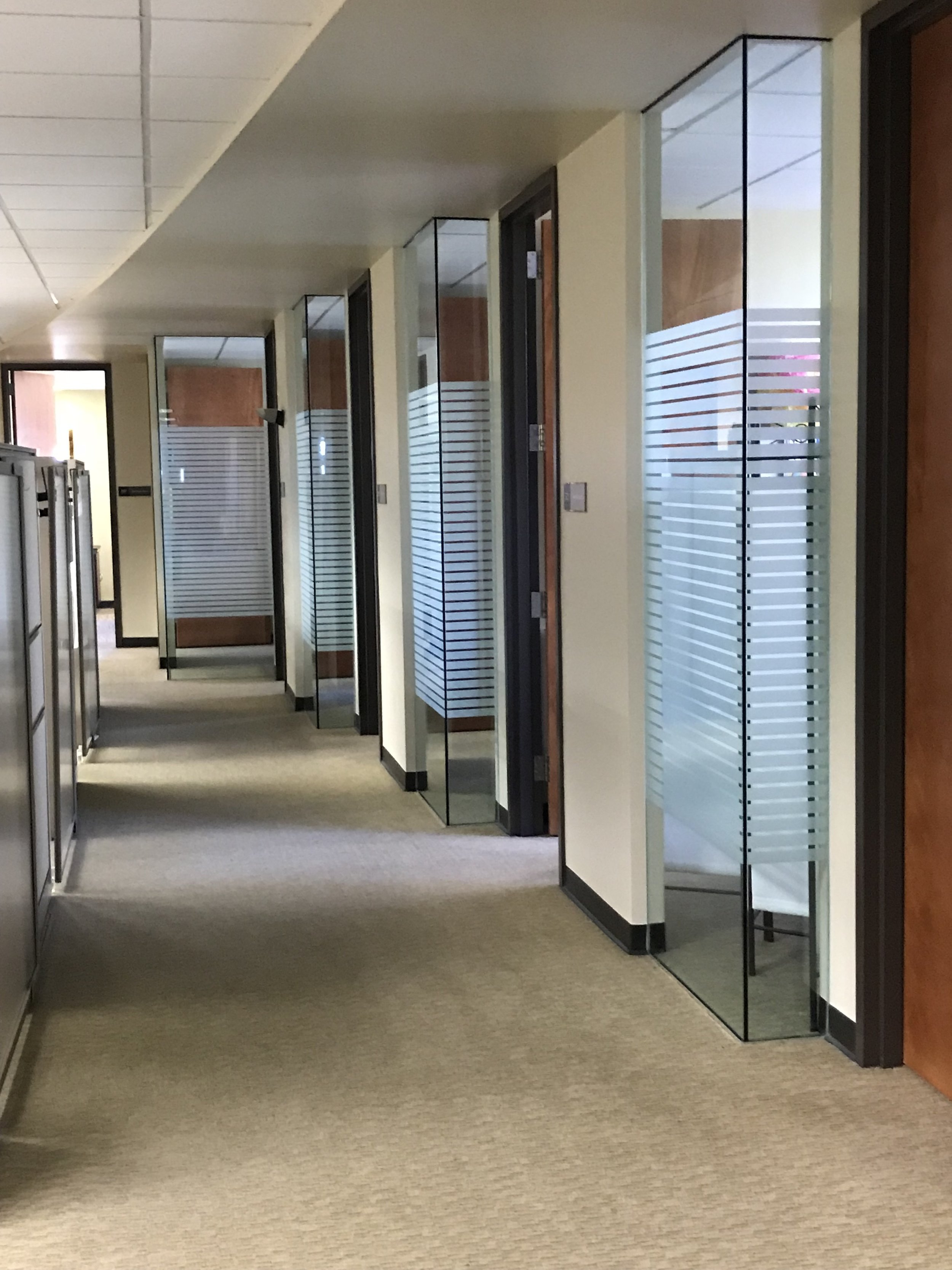 Decorative Privacy Film for Office