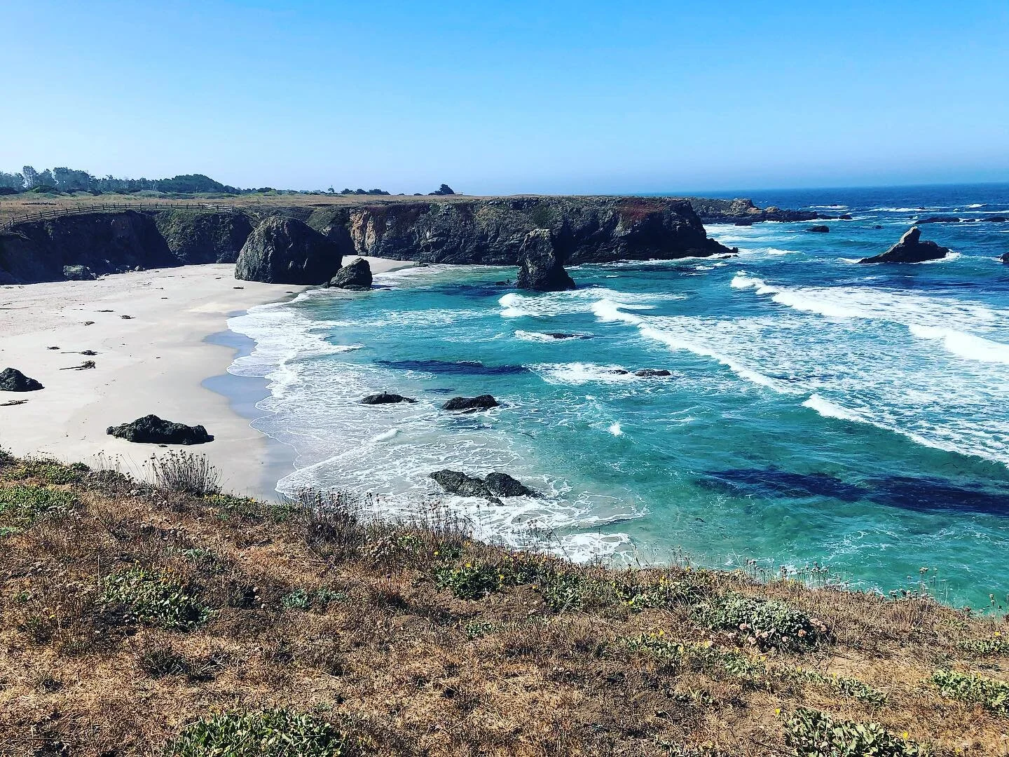 ✨Book WINNER✨ @artofhair_studio 
Thanks to everyone who entered! 
Merry Christmas week from a little corner of the pacific coast