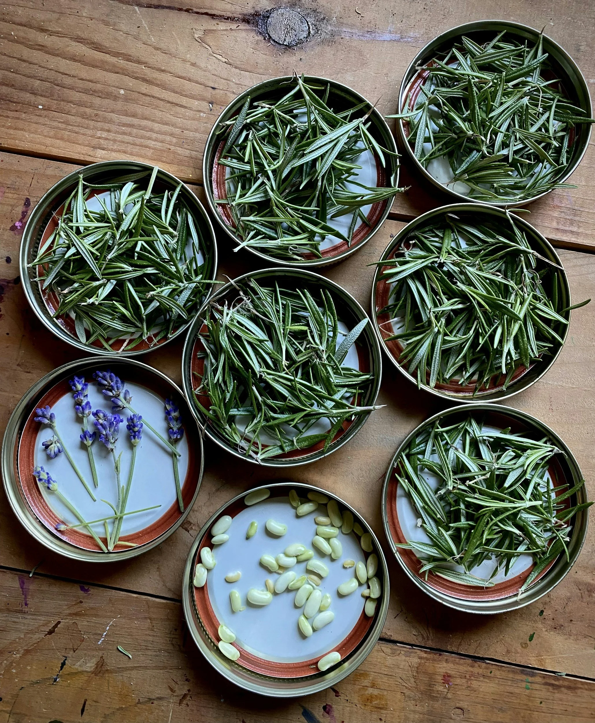 Woven hearts herb farm kitchen day         