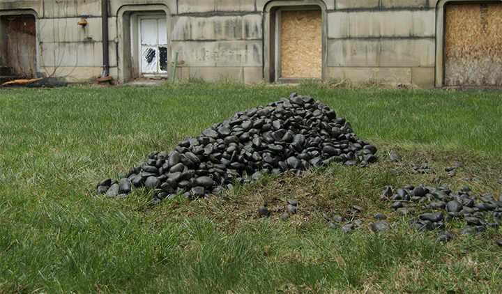 image3_website.jpg