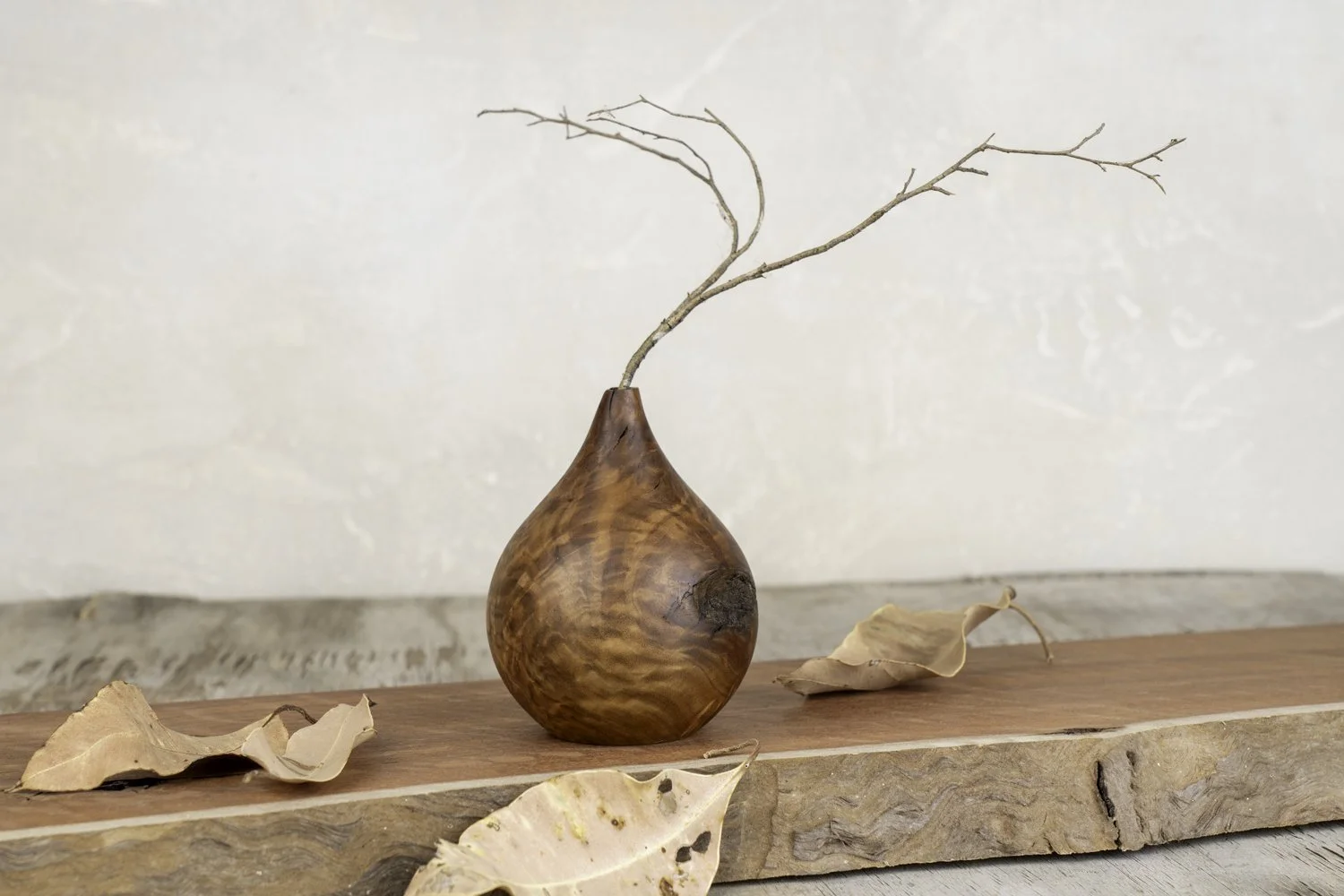 DSC00794-Edit copy.jpg