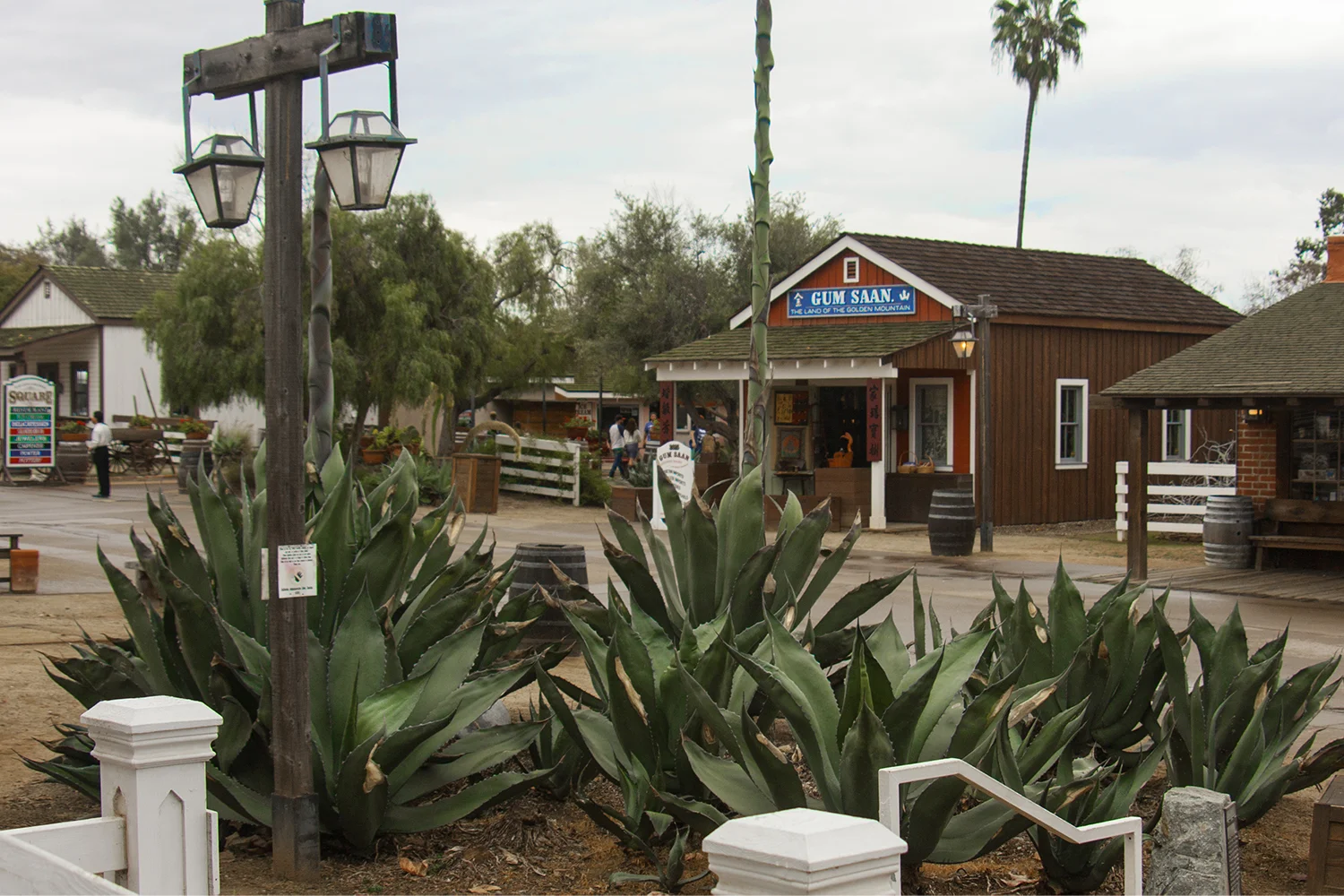 IMG_9833_0002_Layer 5.jpg