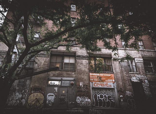 New York,
#killyourcity #citykillerz #illgramers #way2ill #agameoftones #urbex #createexplore #exploretocreate #streetactivityteam #streetdreamsmag #neverstopexploring #featuremeinstagood #igersone #shoot2kill #streetshared #streetmobs #urbanphotography #streetphotography #streetexploration #urbanandstreet #imaginatones #streettogether #streetmagazine