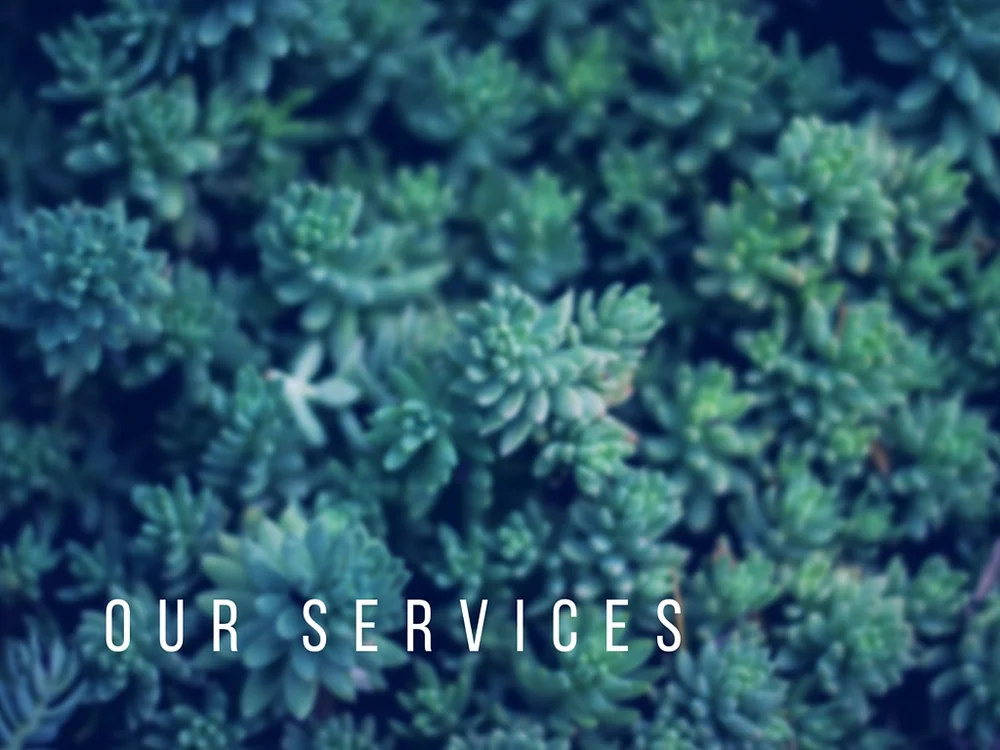 Services — LaNier Land Consulting, LLC