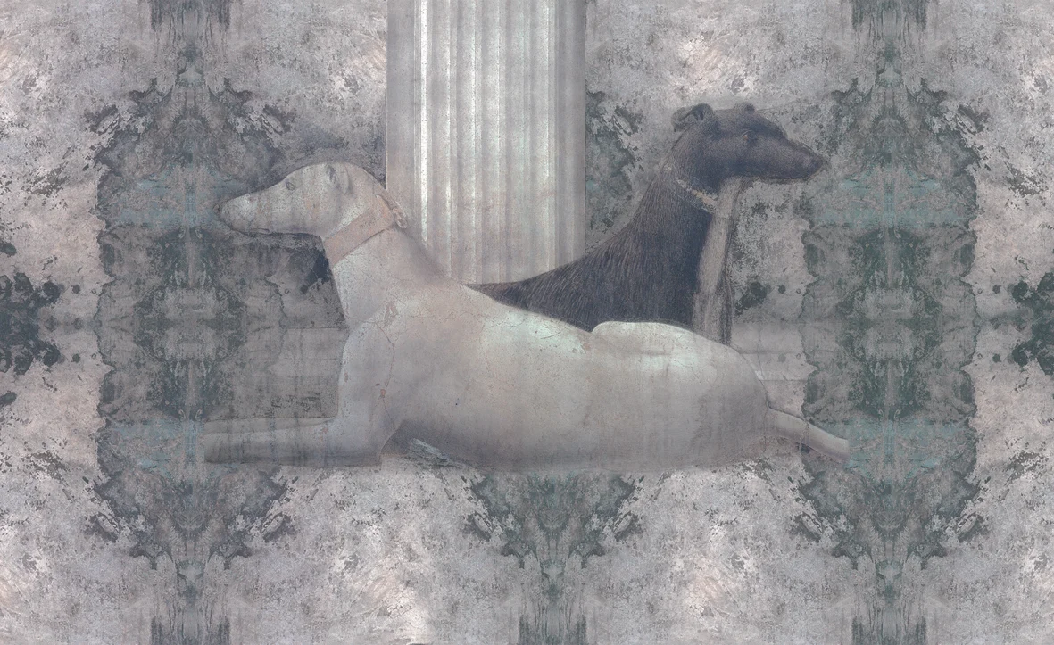 3_ Fragments_ wallpaper505.jpg