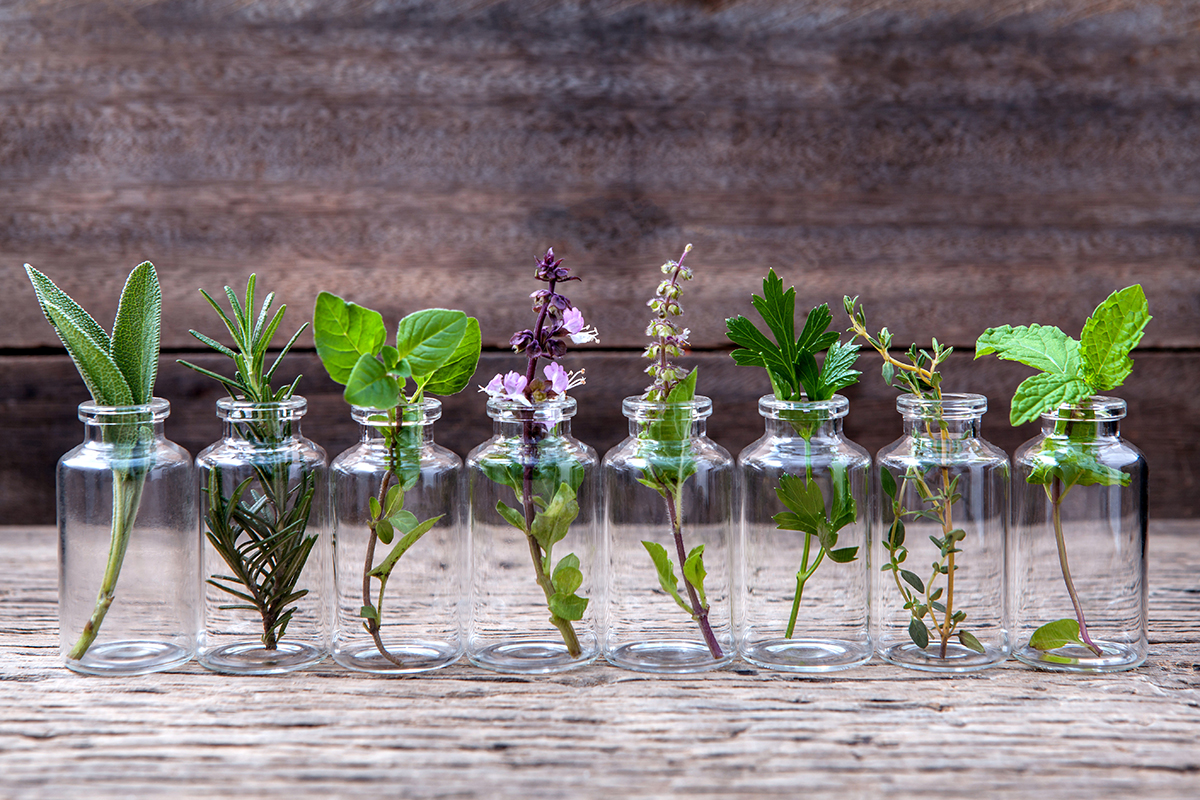 What-Are-Essential-Oils.jpg