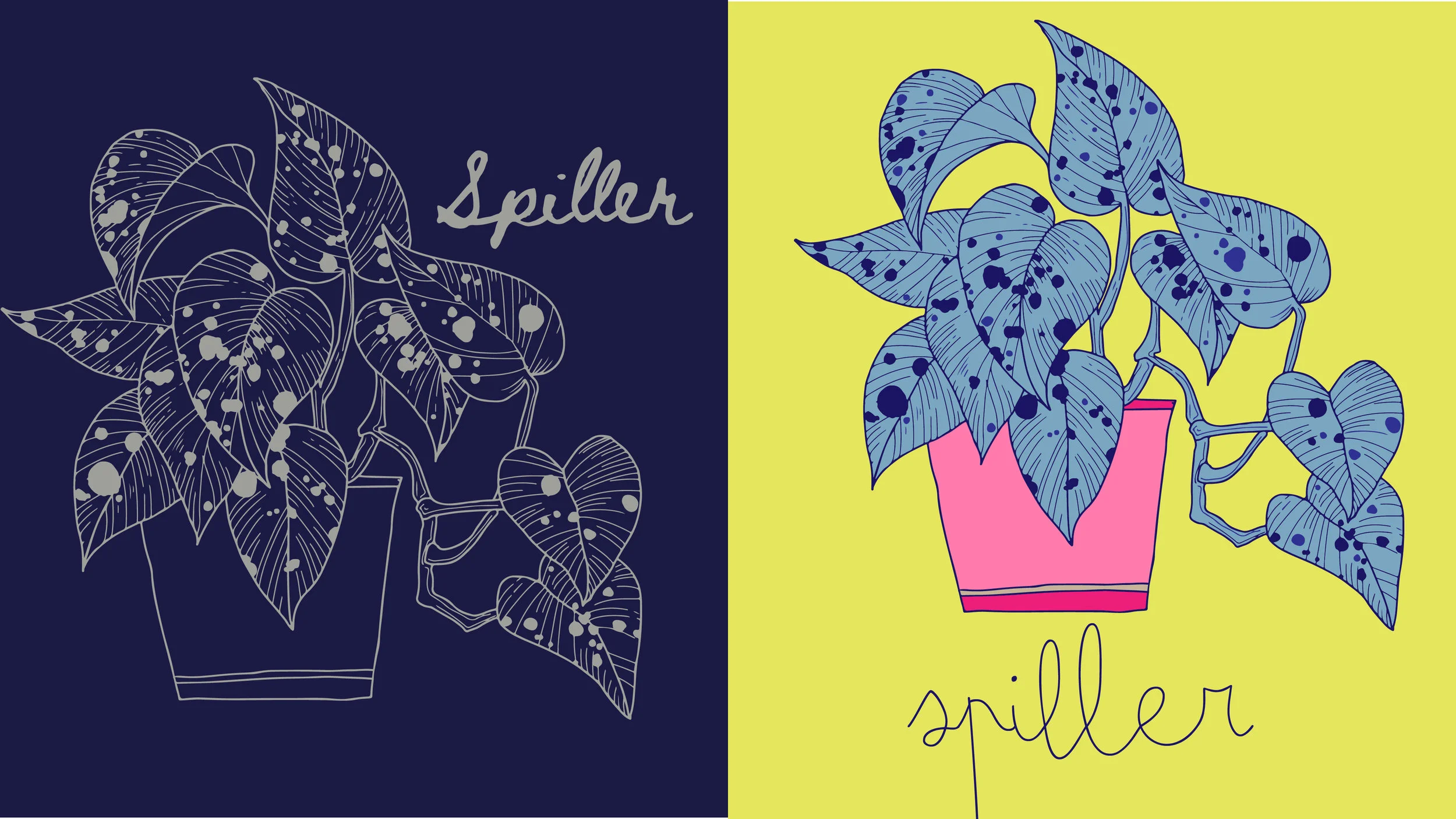spiller drafts-01.jpg