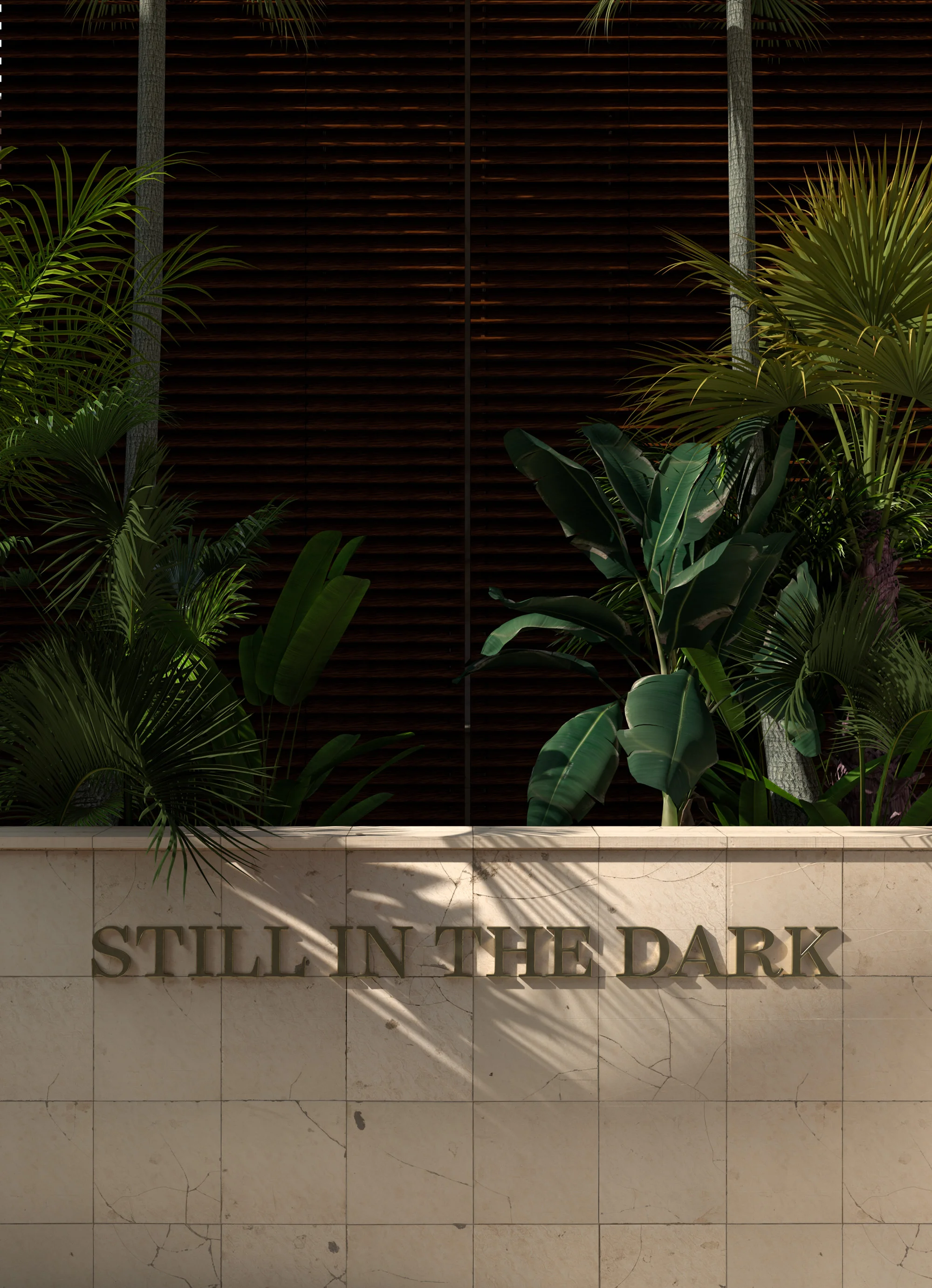 M-Ravanetti-In_the_Dark_01.jpg