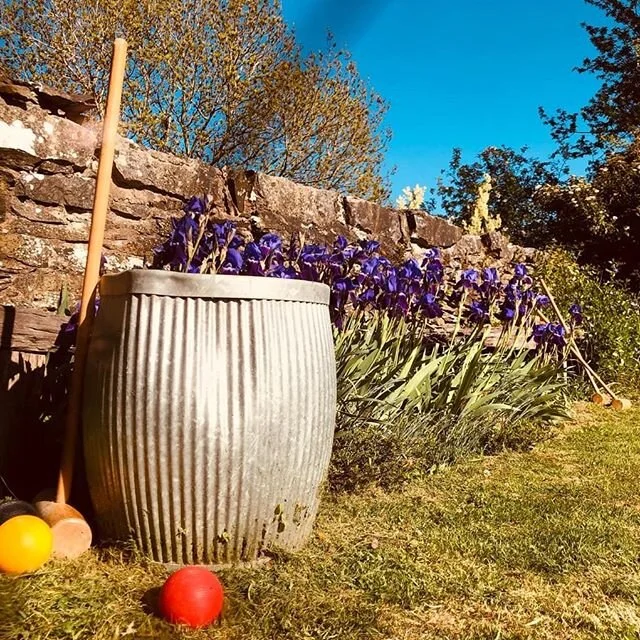 Irises and Croquet 
#irises
#croquet
#interiordesignerslife 
#countryliving #countrylife