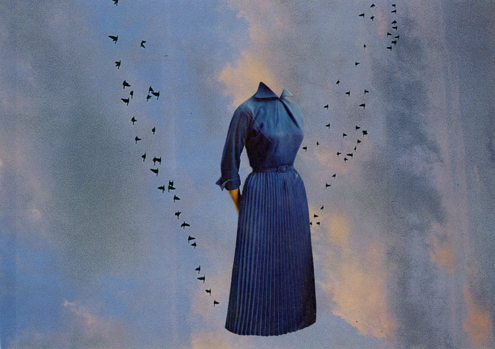 FLOCk lores.jpg
