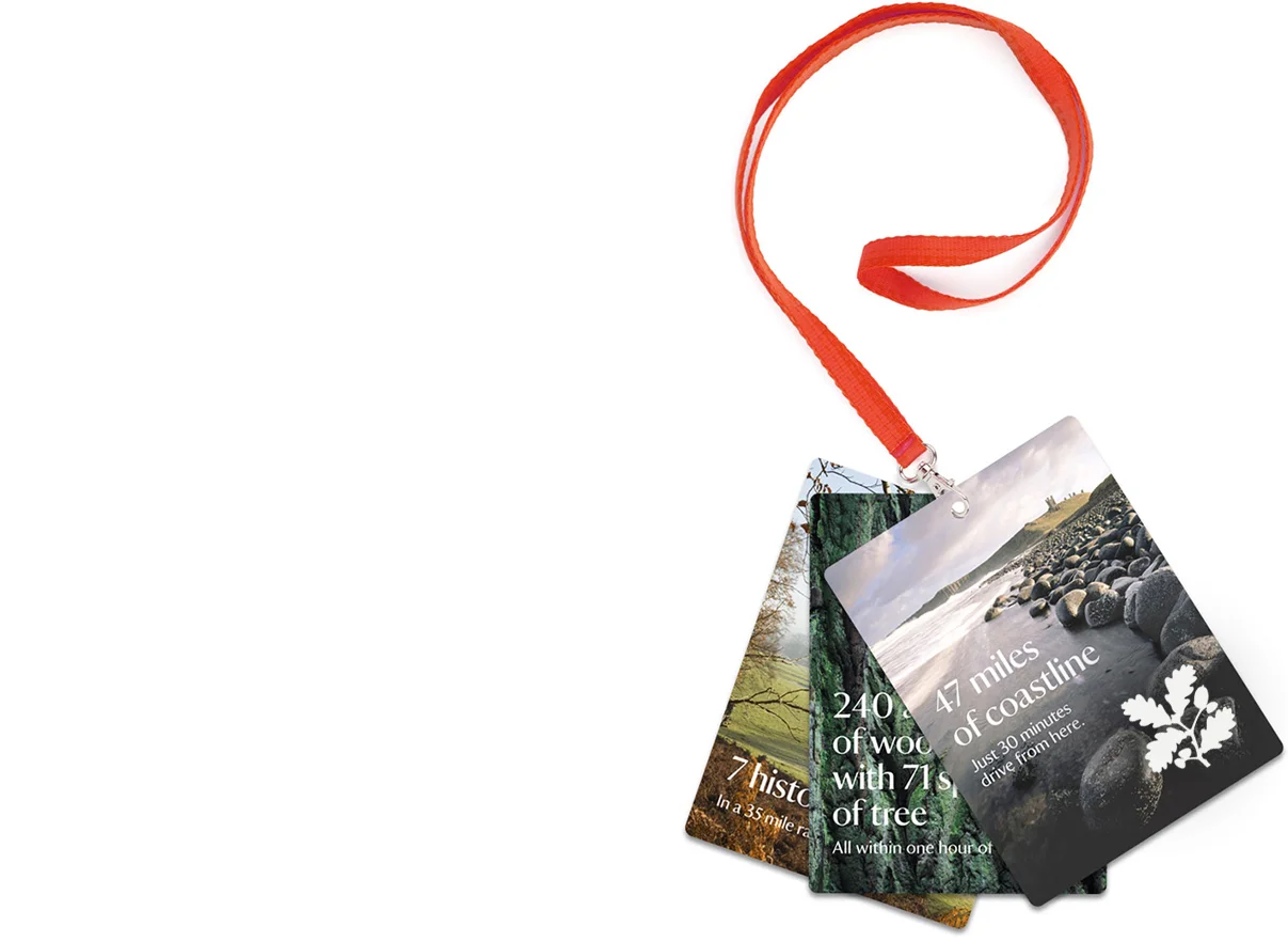NT Lanyard 2.jpg