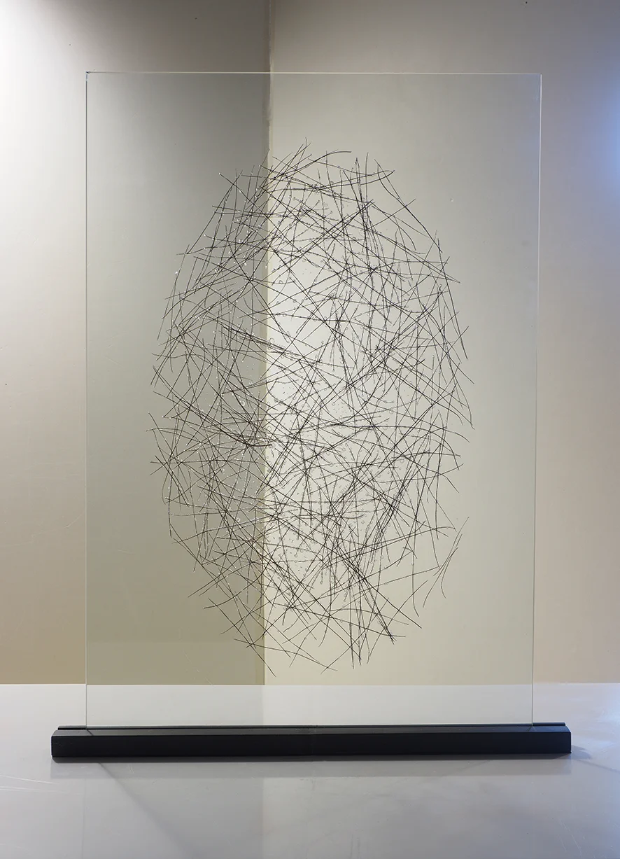 Pine needles inserted in glass 2015. 70cm x 100cm. (28"x 39").
