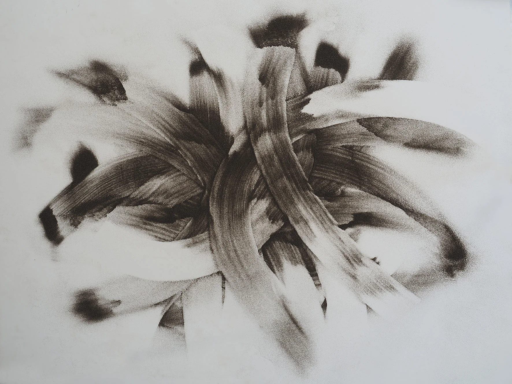 Knots,2017 black volcanic sand drawing.