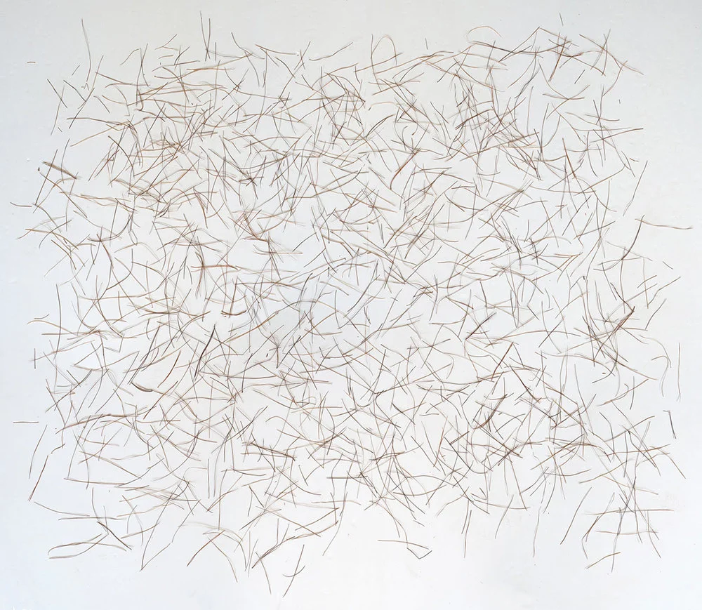 Choreographies 2016. Pine needles drawing. Digital print.