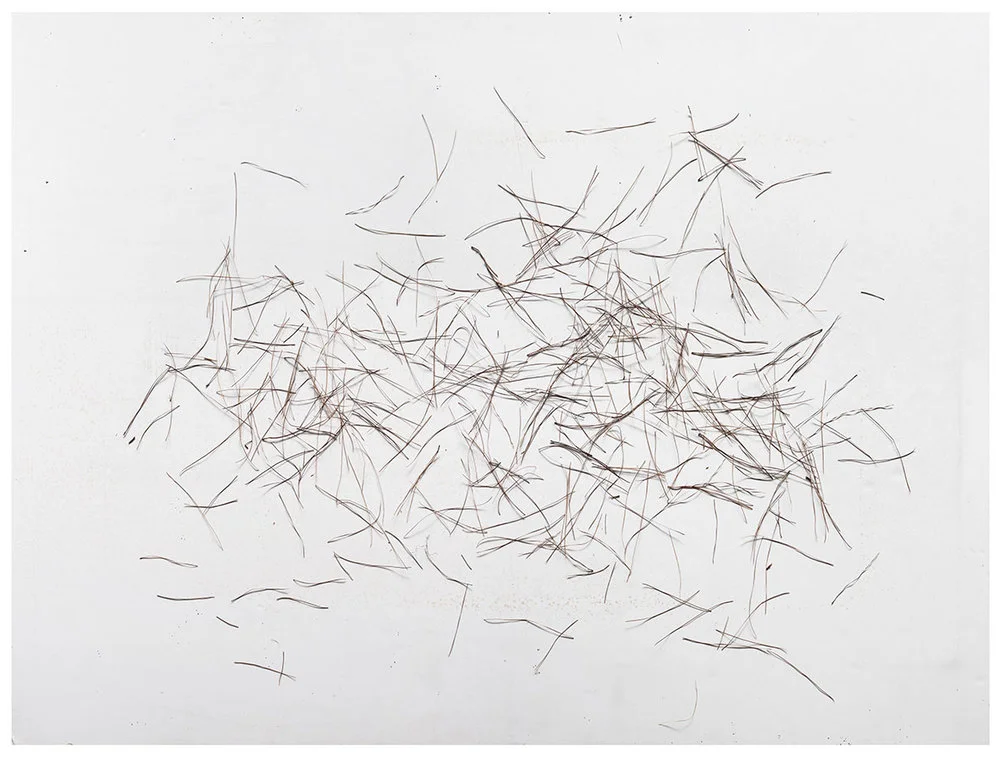 Choreographies 2016. Pine needles drawing. Digital print.