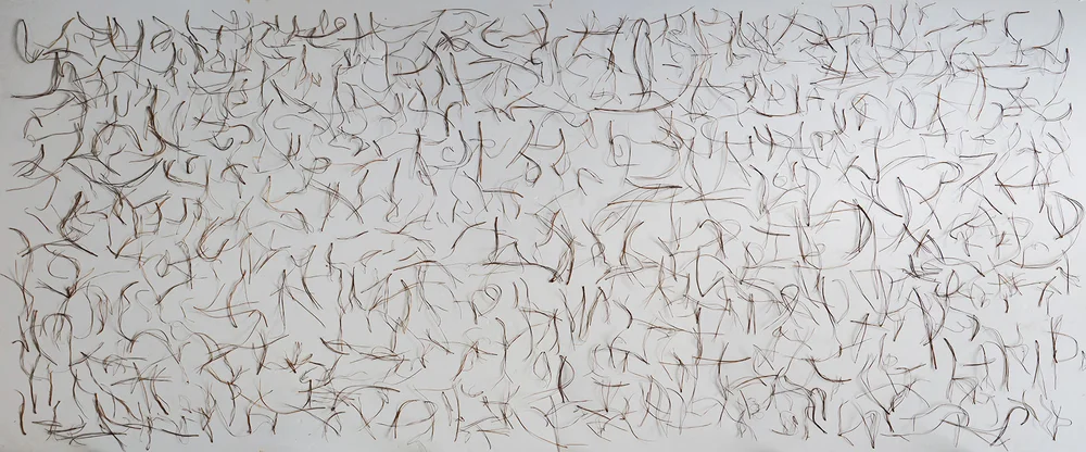 Choreographies 2016. Pine needles drawing. Digital print.