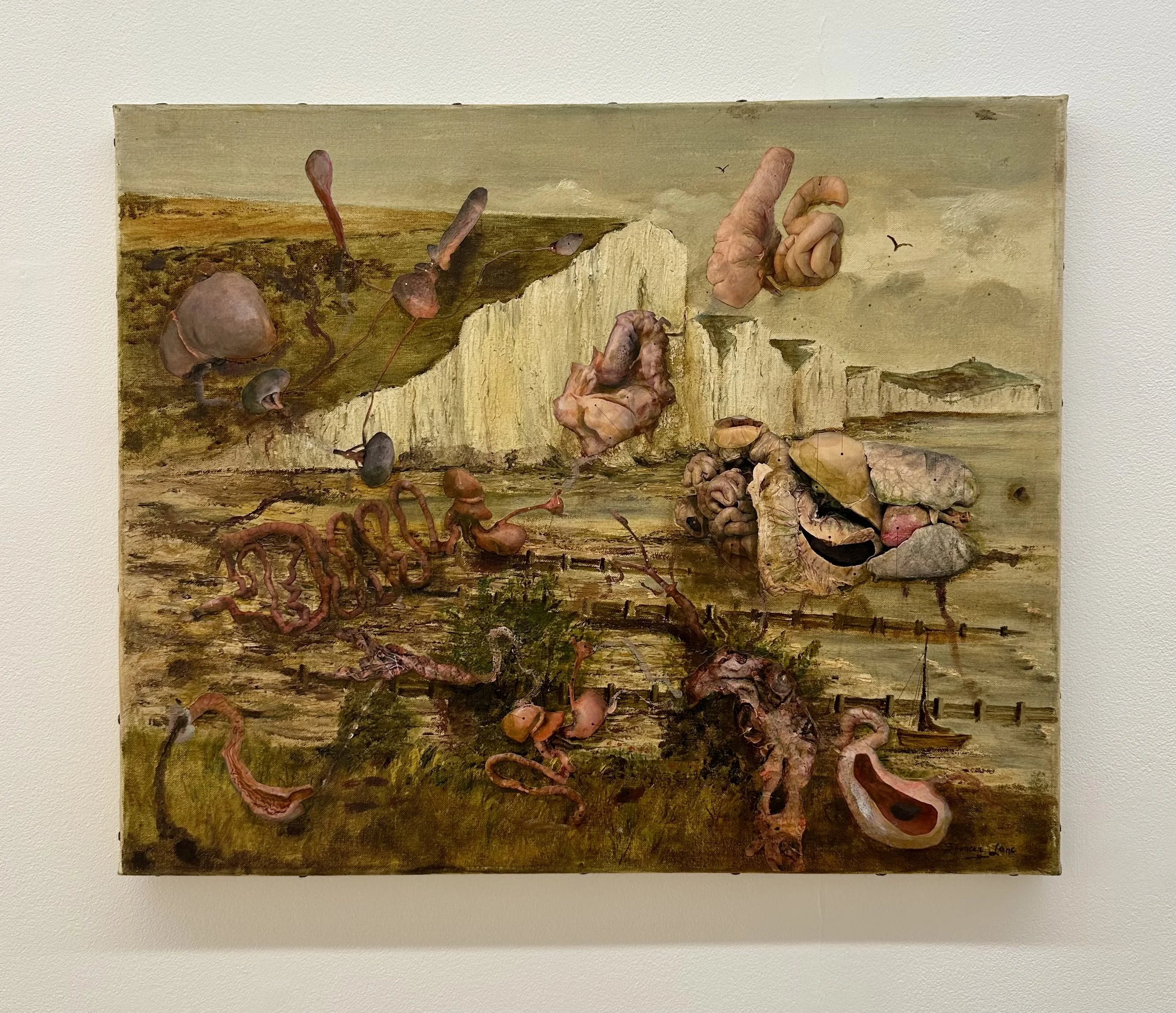 Jake Chapman - NICESIS, The Unwellness of Wellbeing
