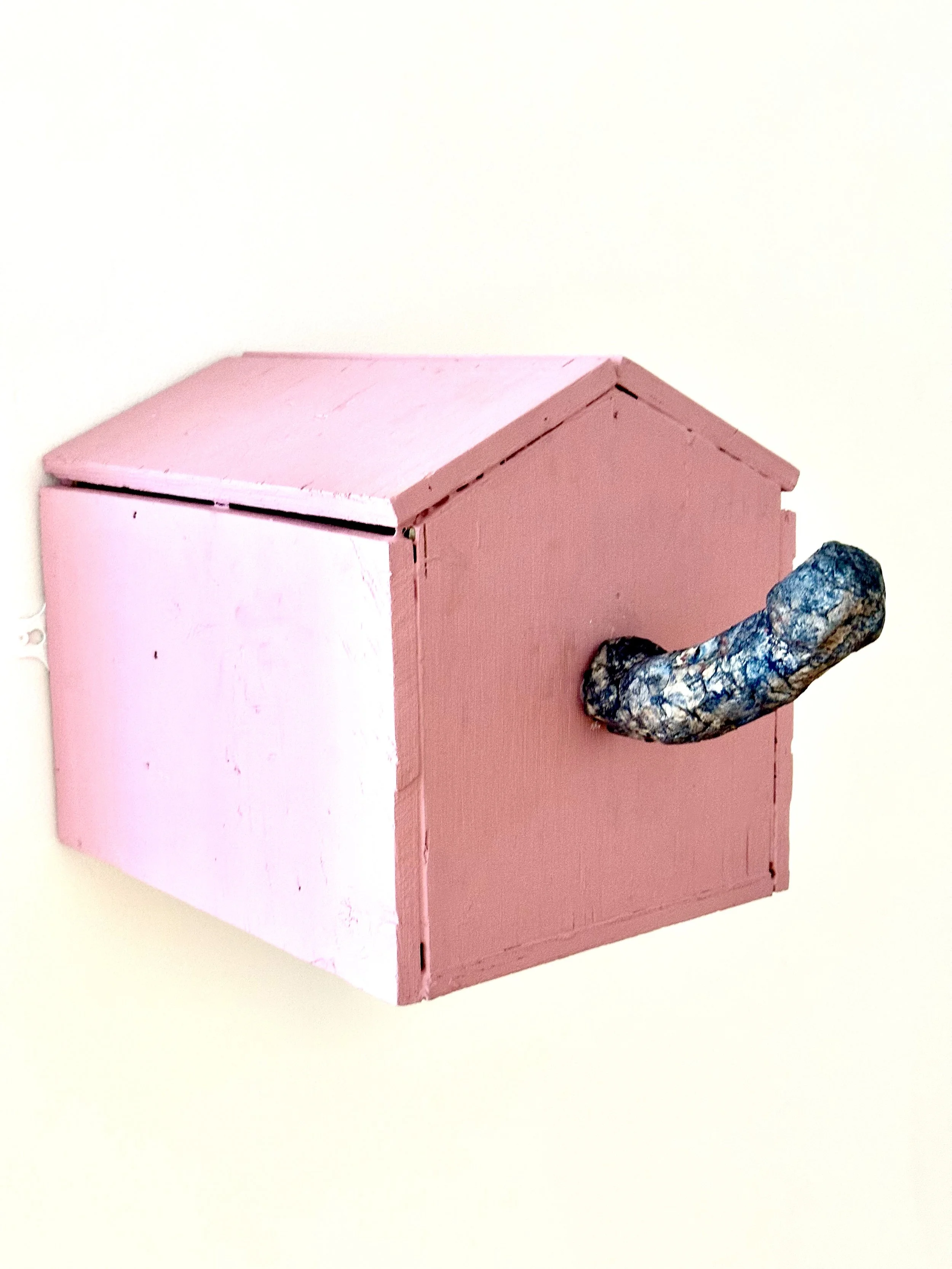 Penis House, 2026