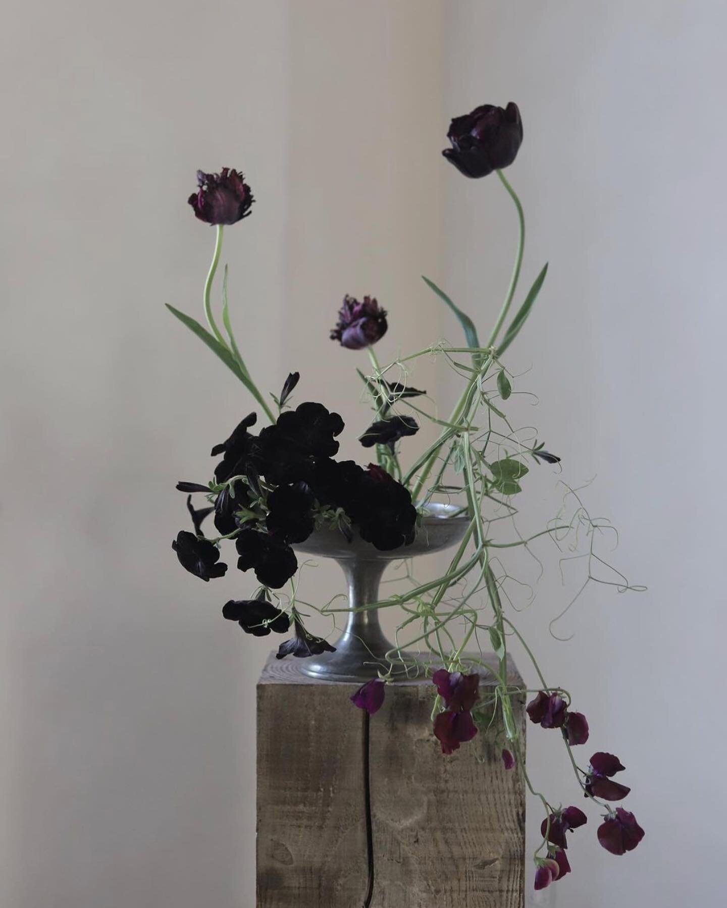 Black Tuips by Frida Kim - Talented Florist based in London
@fridakim_london 

#interiordesign #design #interior #homedecor #architecture #home #decor #interiors #homedesign #furniture #art #interiordesigner #decoration #luxury #designer