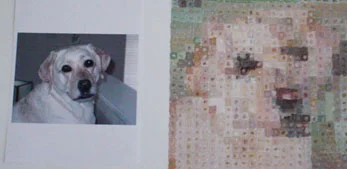 creativeprojectsample1.jpg