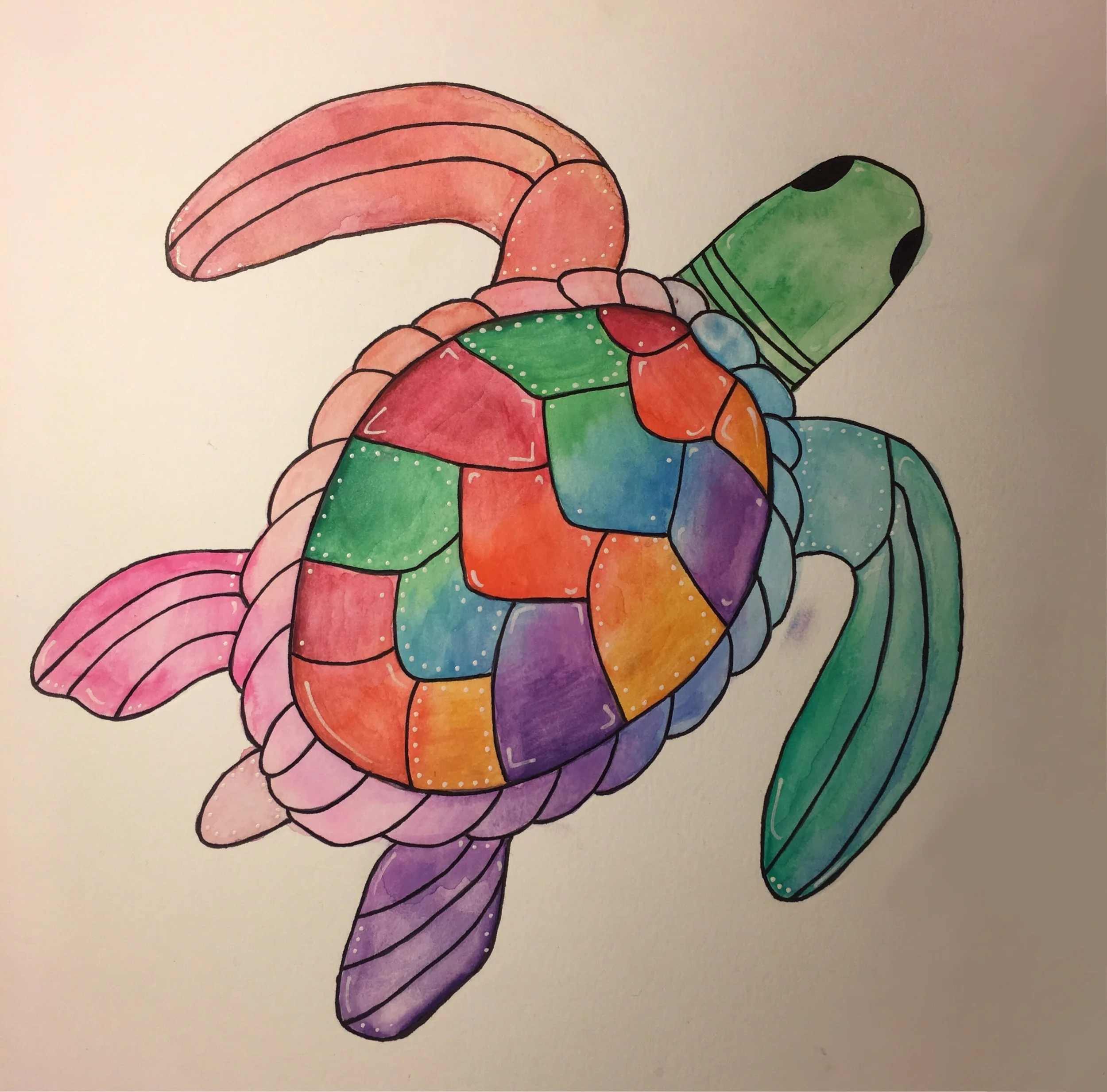 paintingprojectturtlesample.JPG