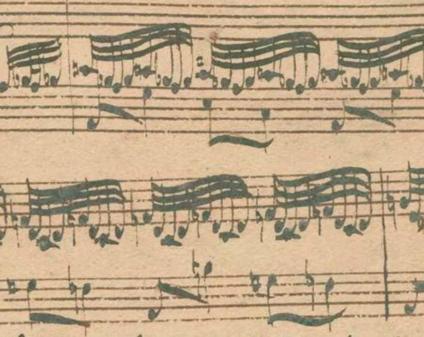 Brandenburg 5