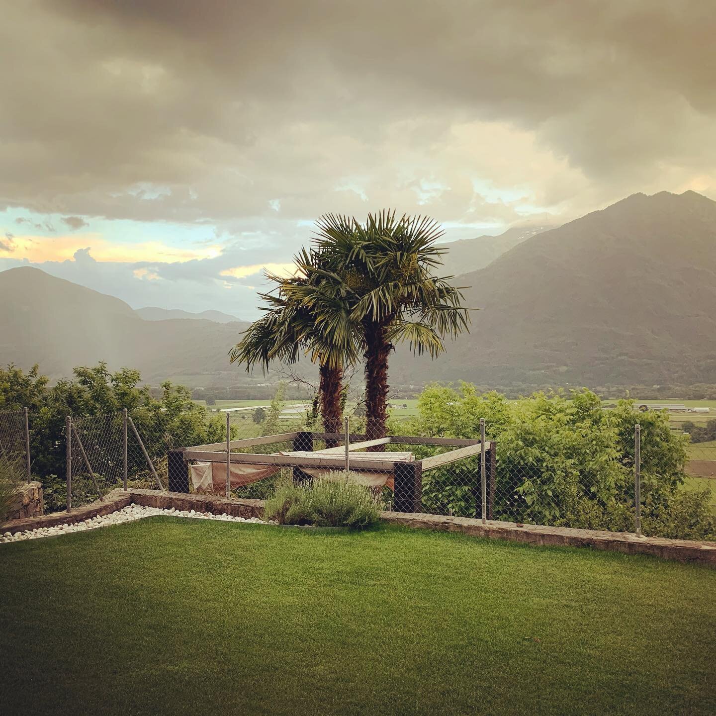 Schönen Abend von Casa Diamante - deine Ferienwohnung 🌴🌴🥰🥰#ferien #ferienhaus #ferienwohnung #tessin #ticinoturismo #ticinomoments #ascona_locarno❤️ #ascona_locarno