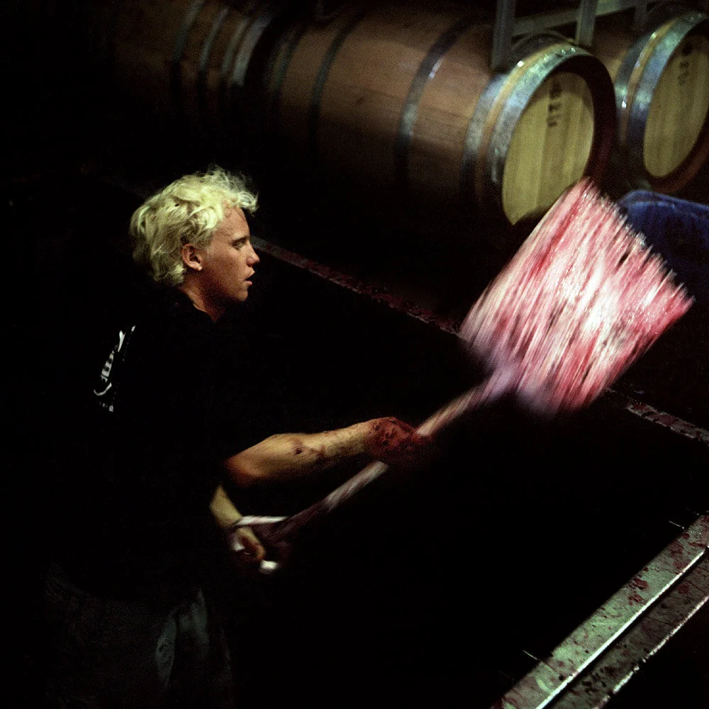 Coriole Winery  - McLaren Vale