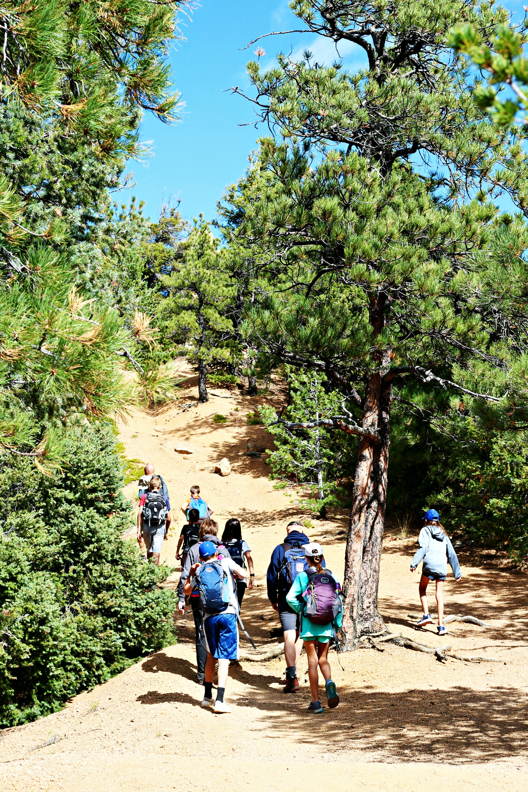 Hiking Cheyenne up hill.jpg