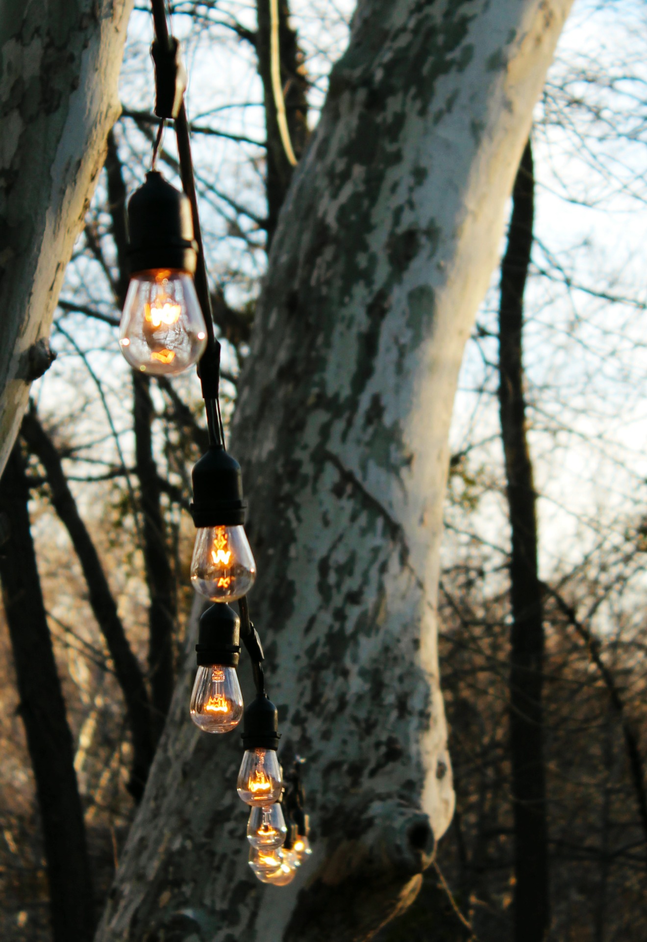 l'auberge-wedding-lights