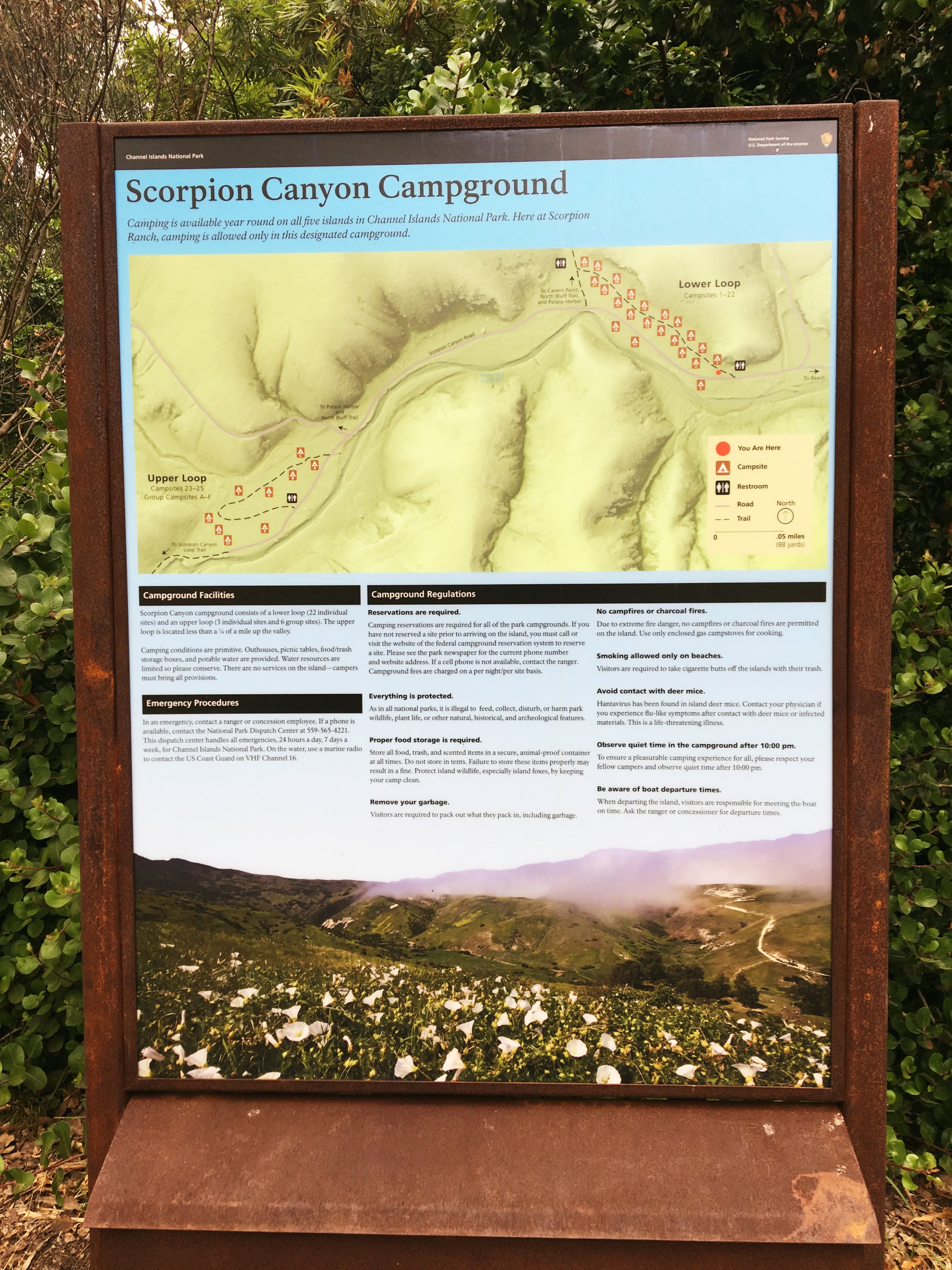 scorpion-canyon-campground