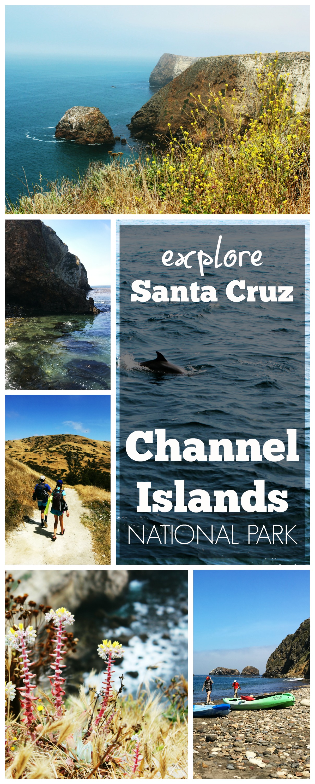 Channel Islands PIN Santa Cruz.jpg