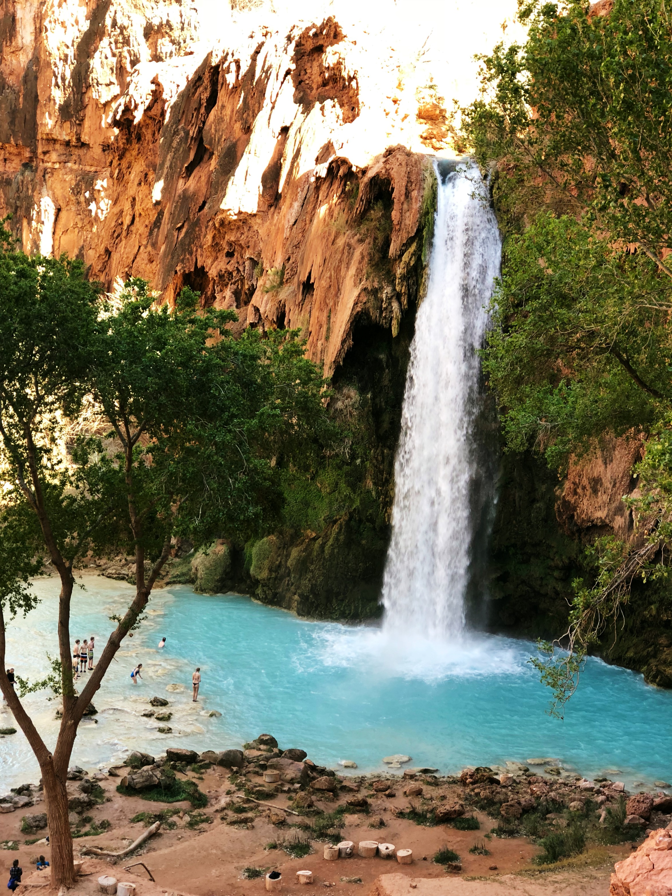 havasu-falls-first-glance